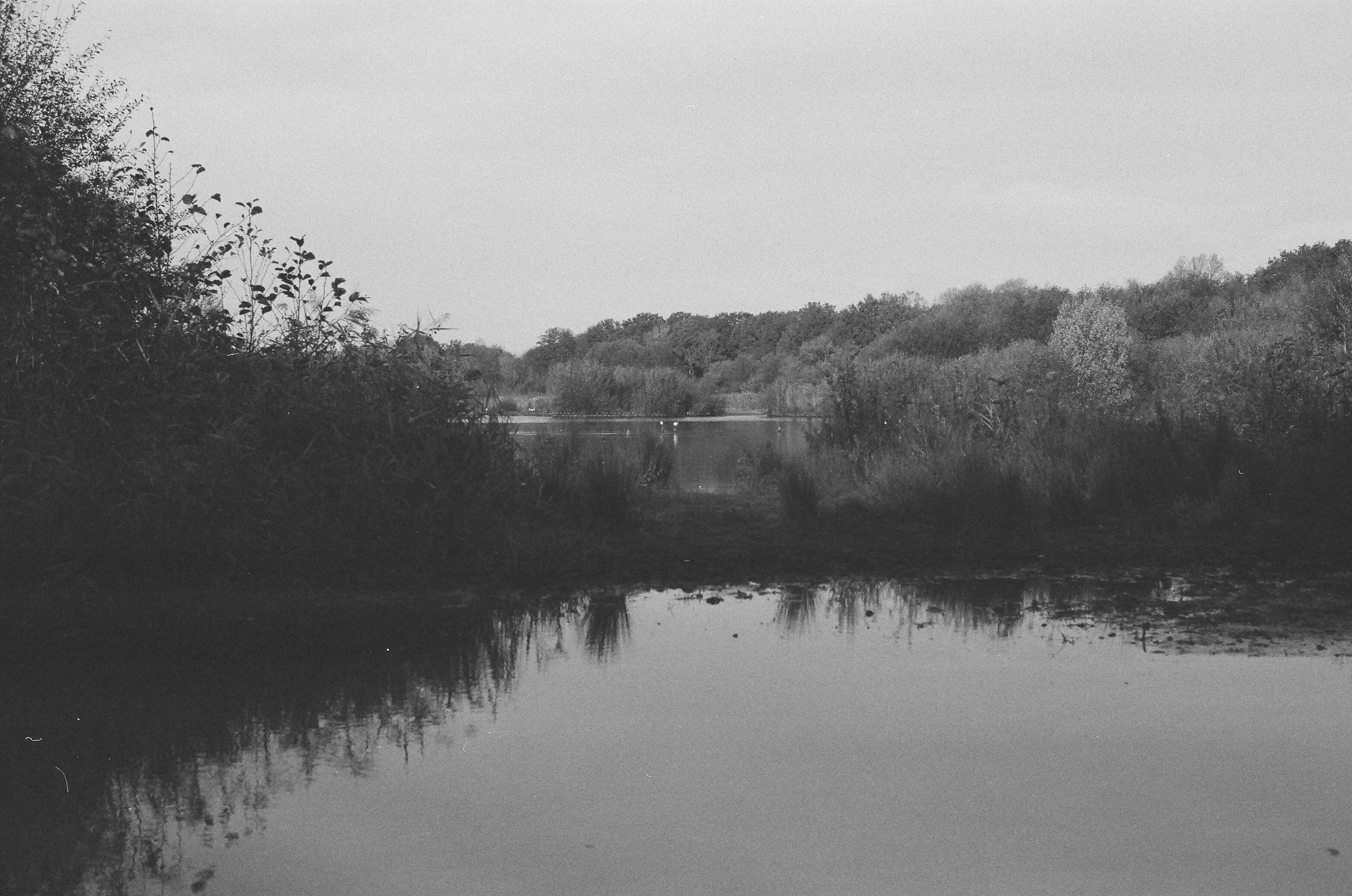 Music notes and calm landscape