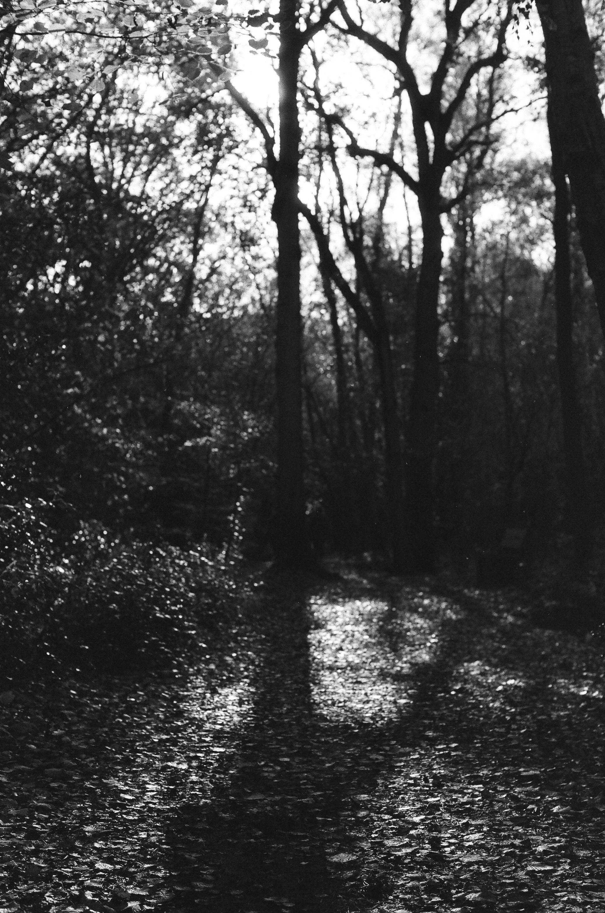 Photo by tanyabarrow