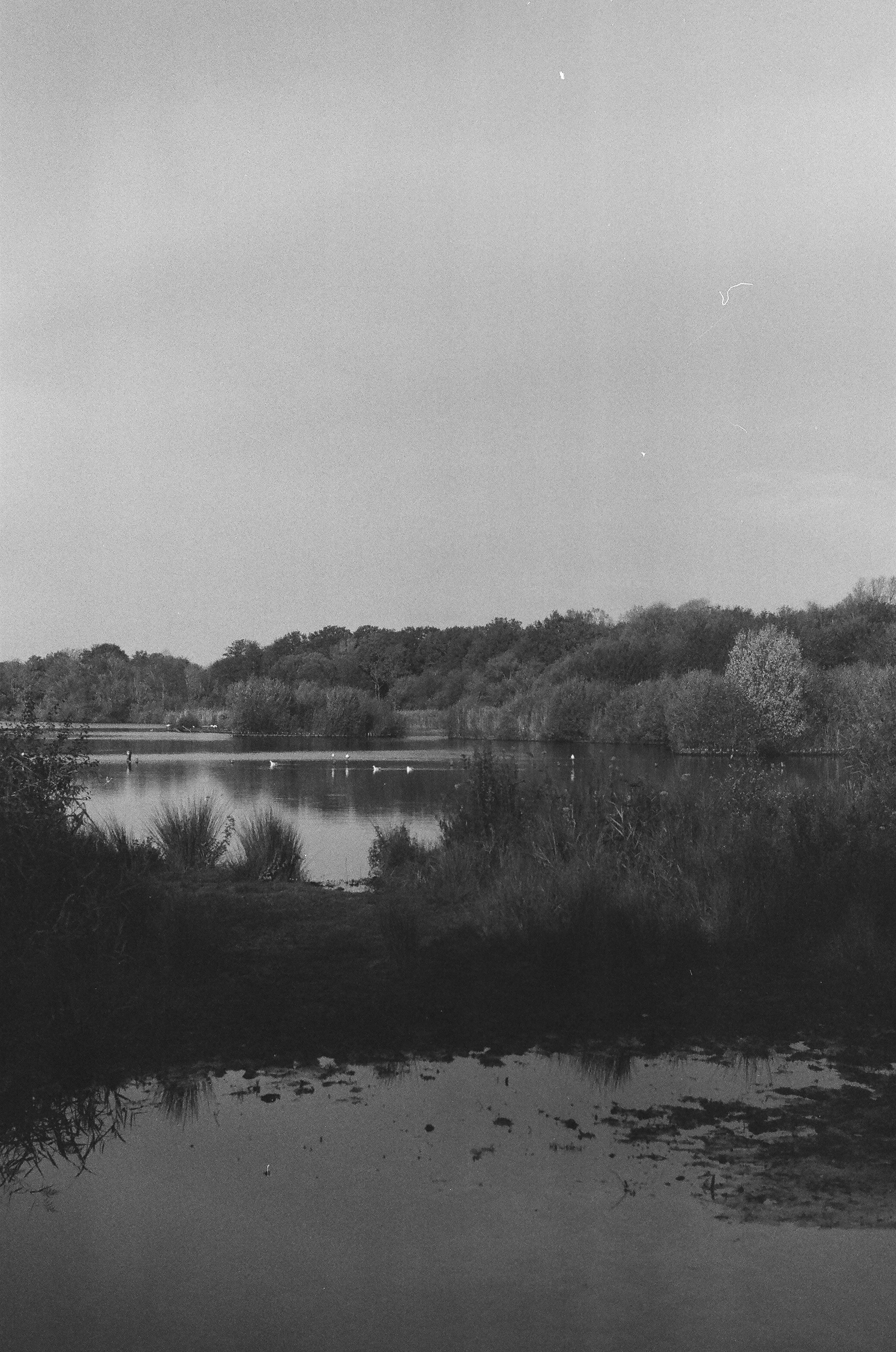 Photo by tanyabarrow