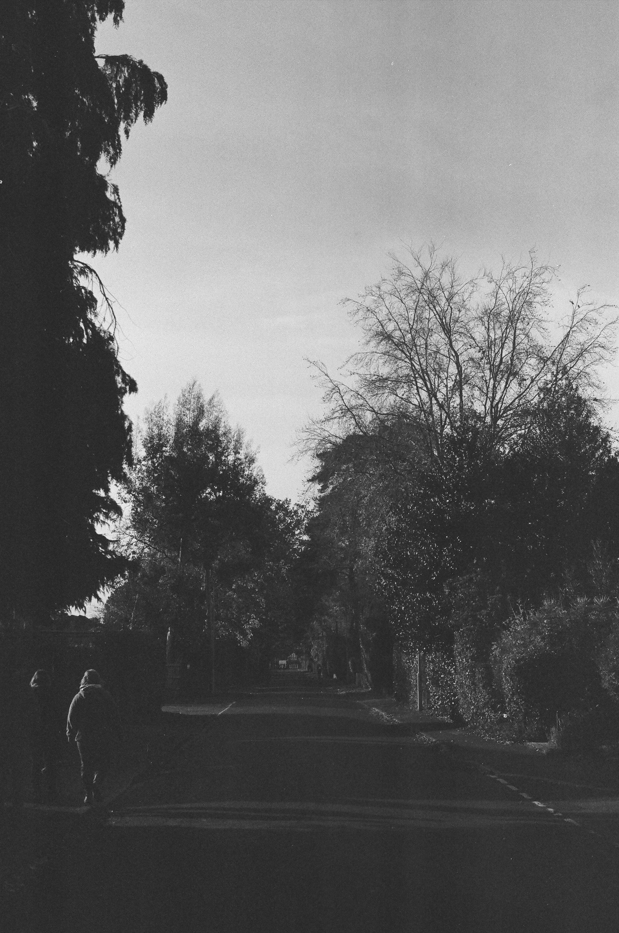 Photo by tanyabarrow