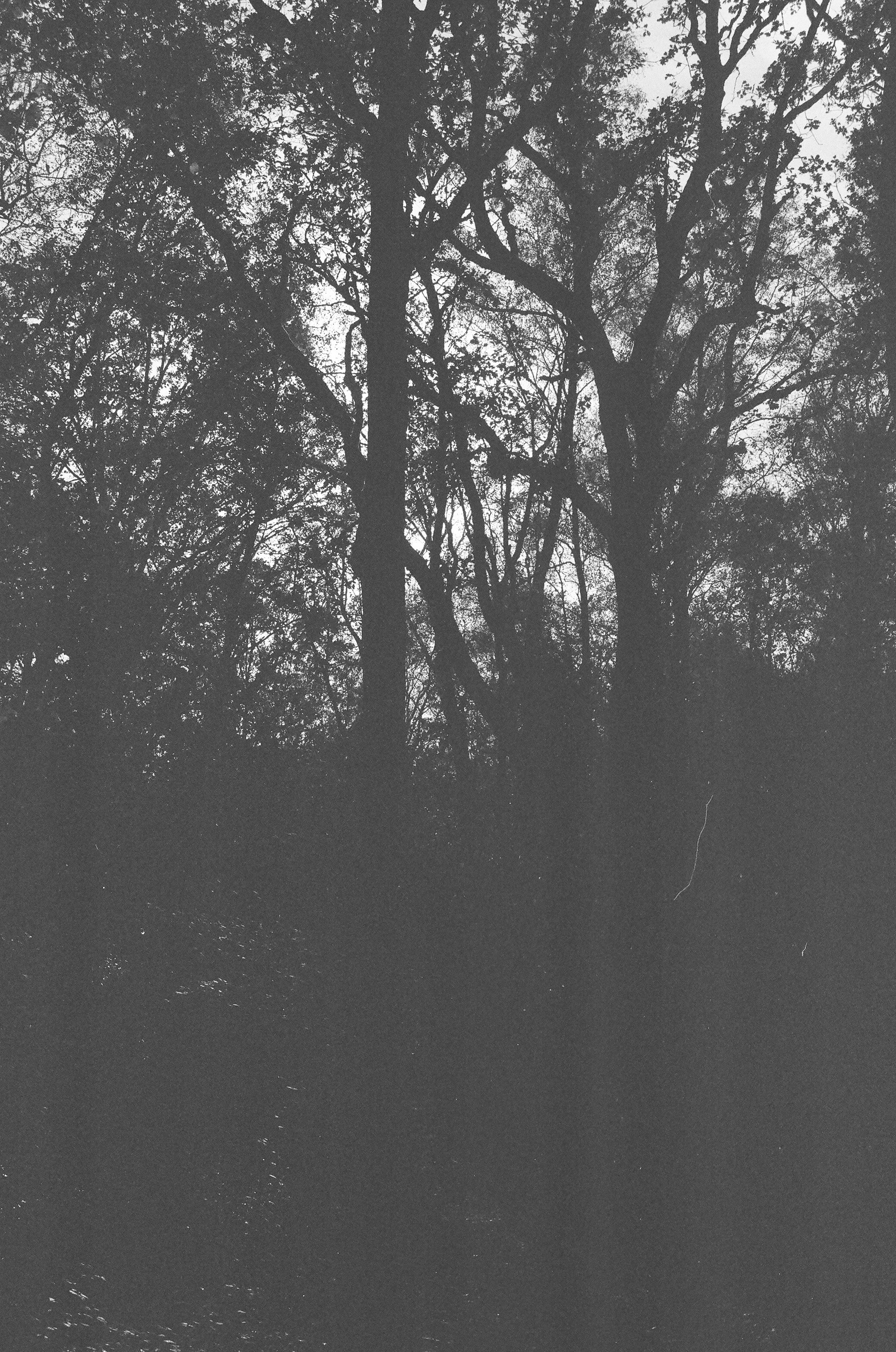 Photo by tanyabarrow