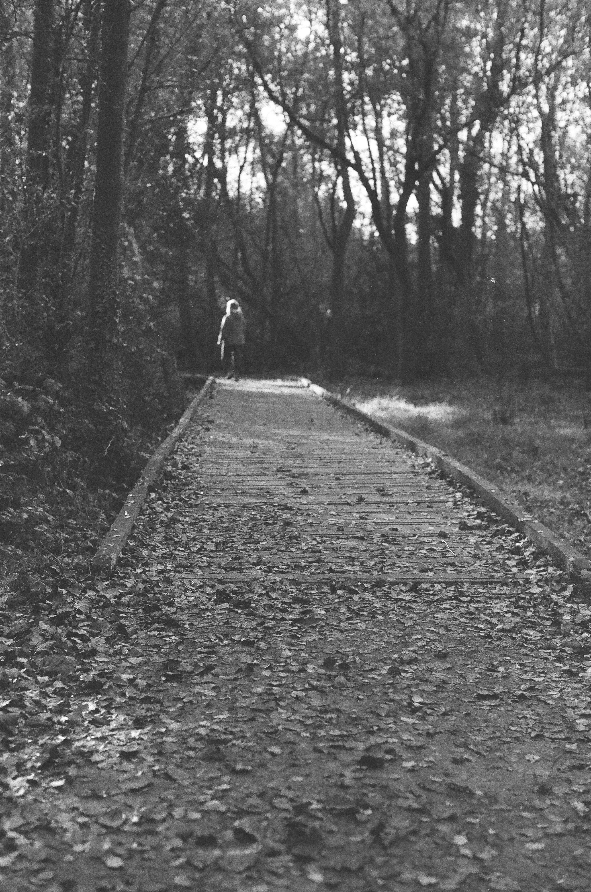 Photo by tanyabarrow