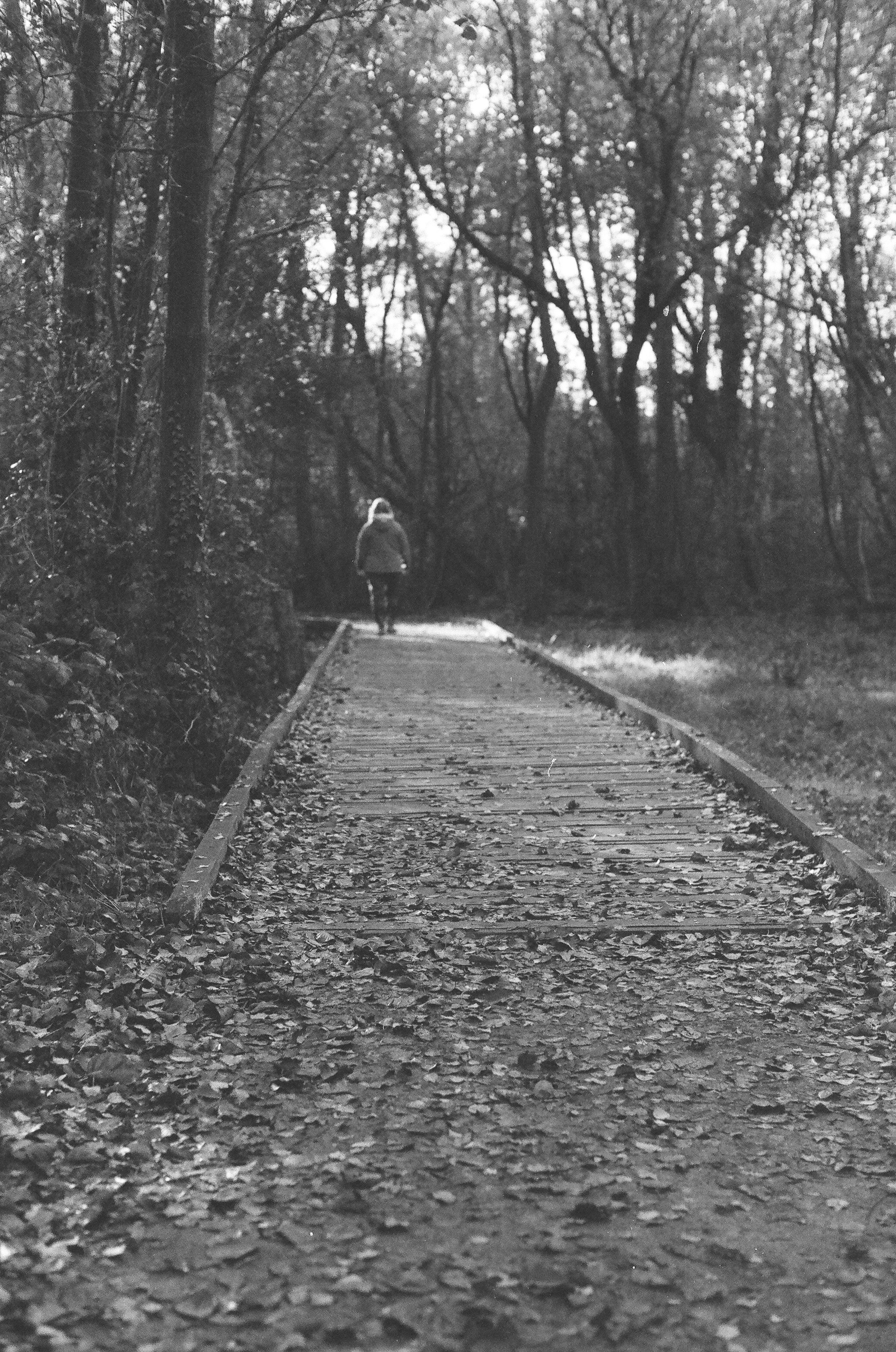 Photo by tanyabarrow