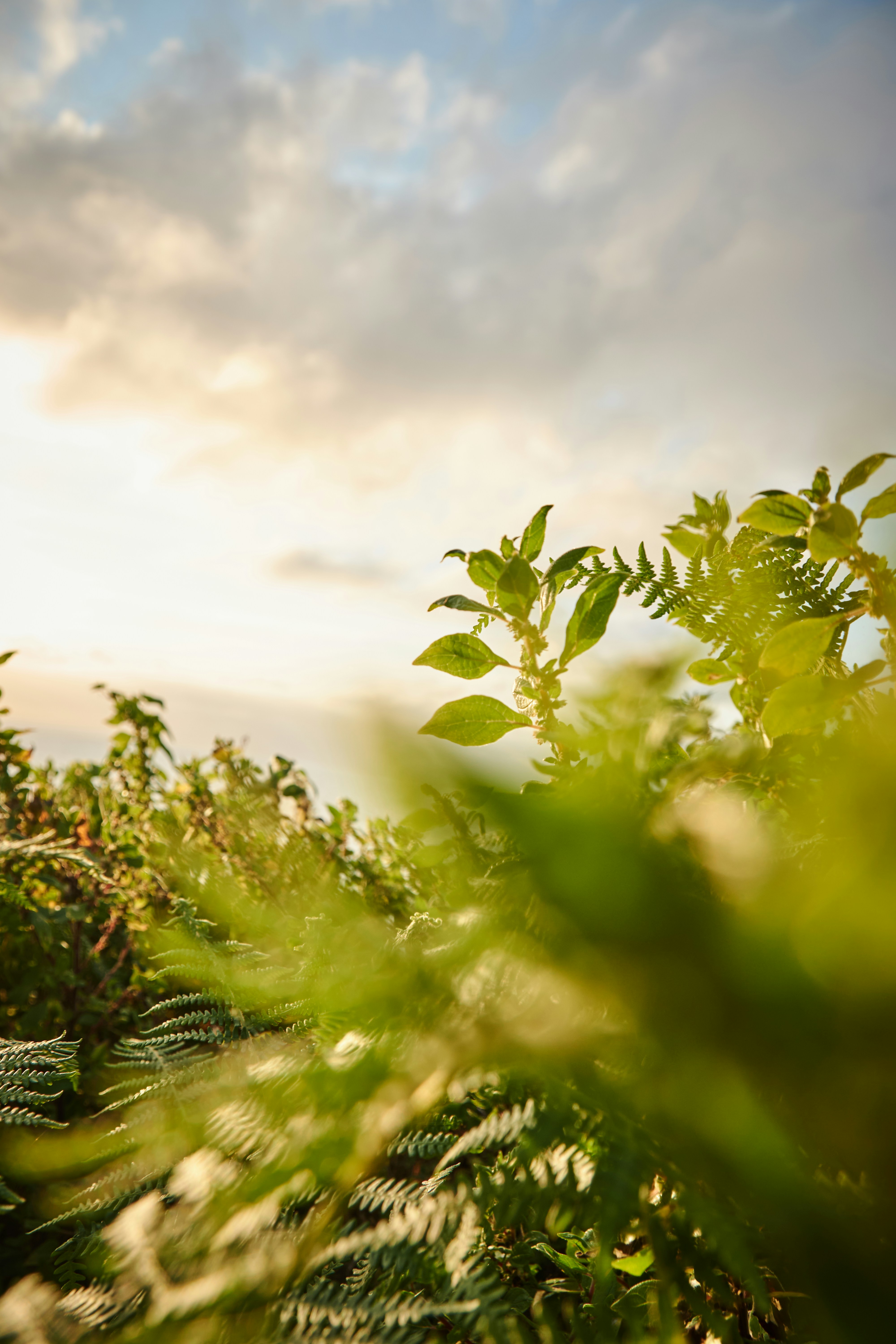 Photo by michaelbaccin