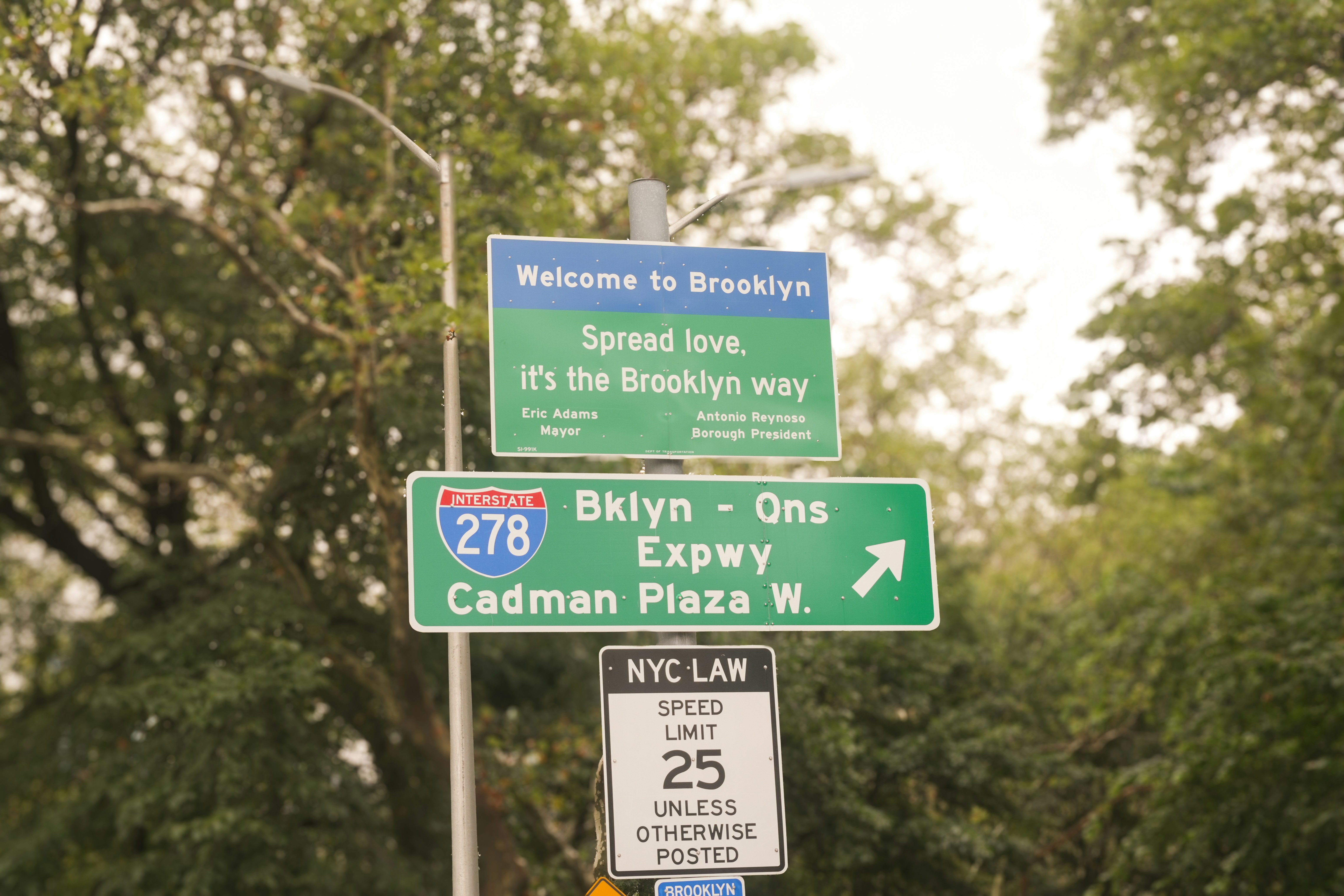 A welcoming street sign at the entrance to Brooklyn, New York, featuring the iconic “Welcome to Brooklyn – Spread love, it’s the Brooklyn way” message alongside road and speed-limit signs. Captured with soft natural light and surrounded by trees, highlighting everyday urban life in NYC.