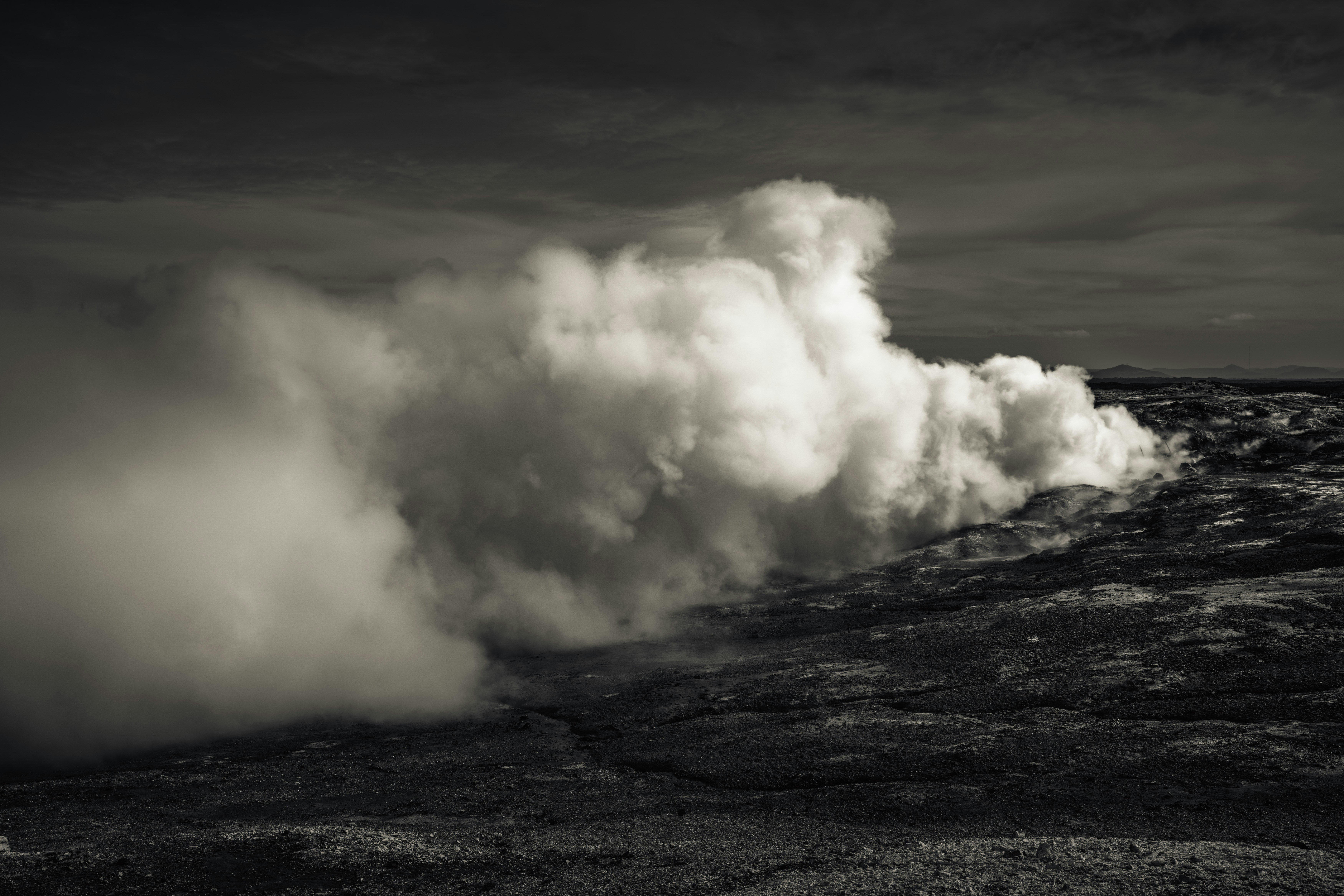 Photo by raulling