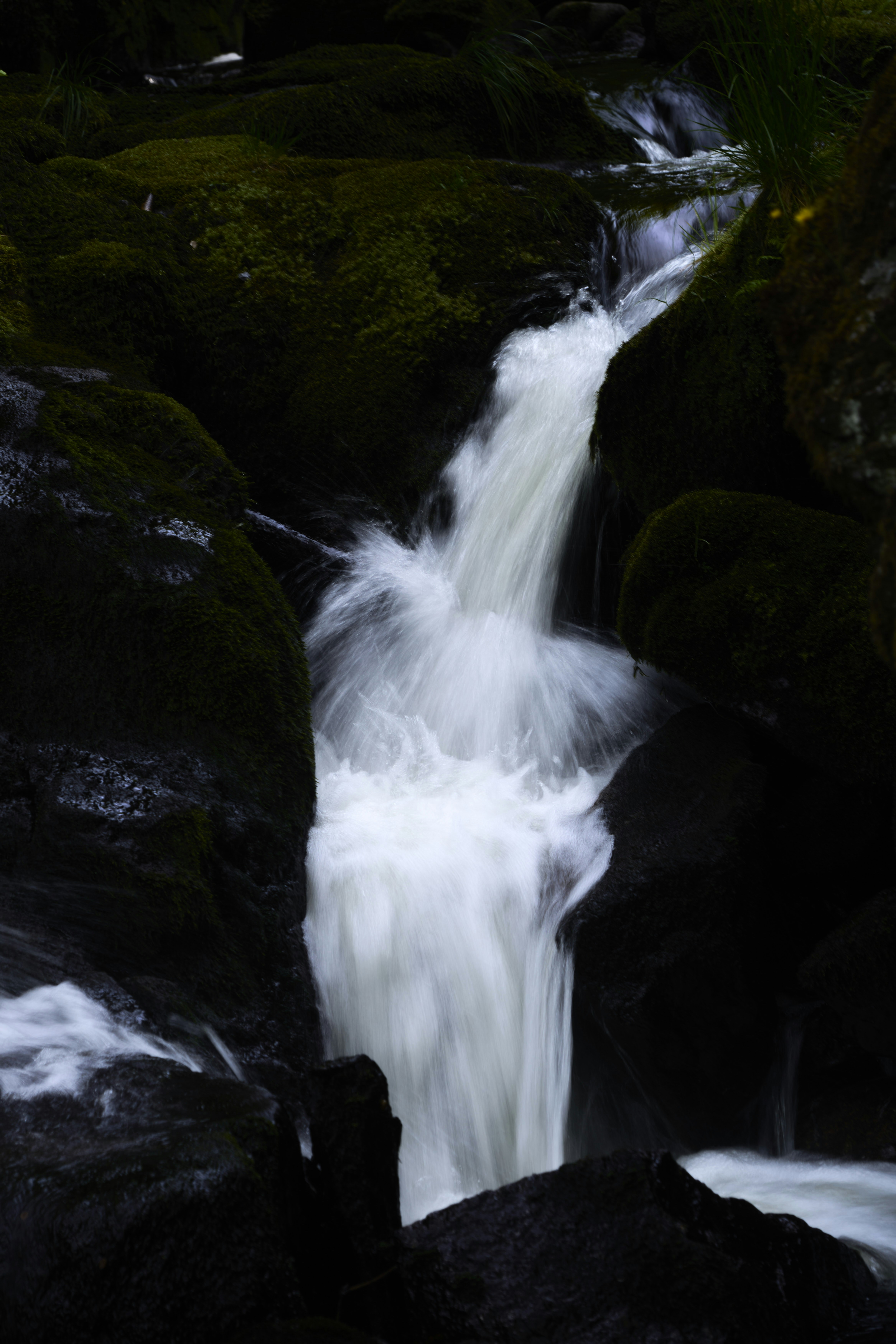 Photo by wolfgang_hasselmann