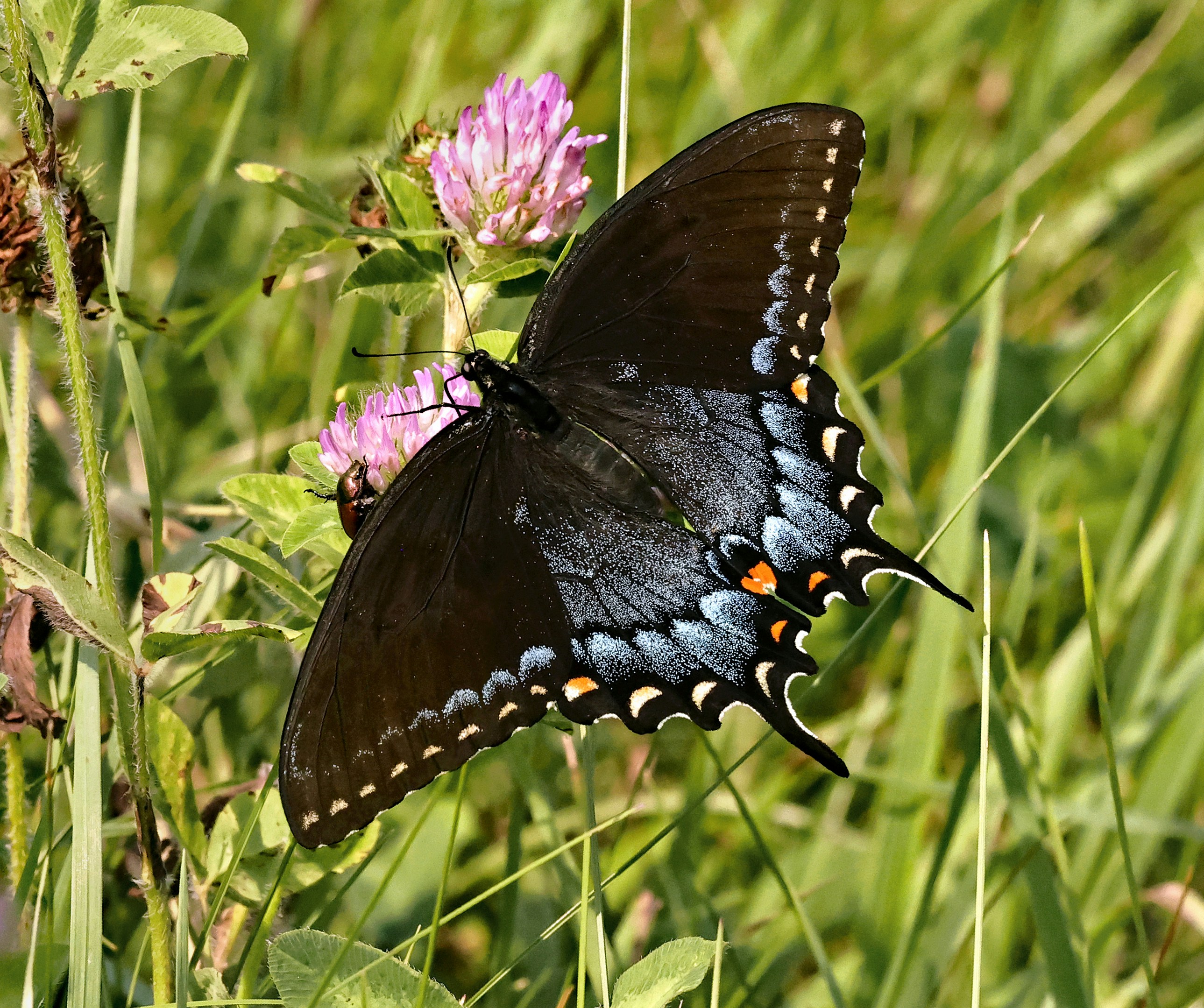 Photo by telliottmbamsc