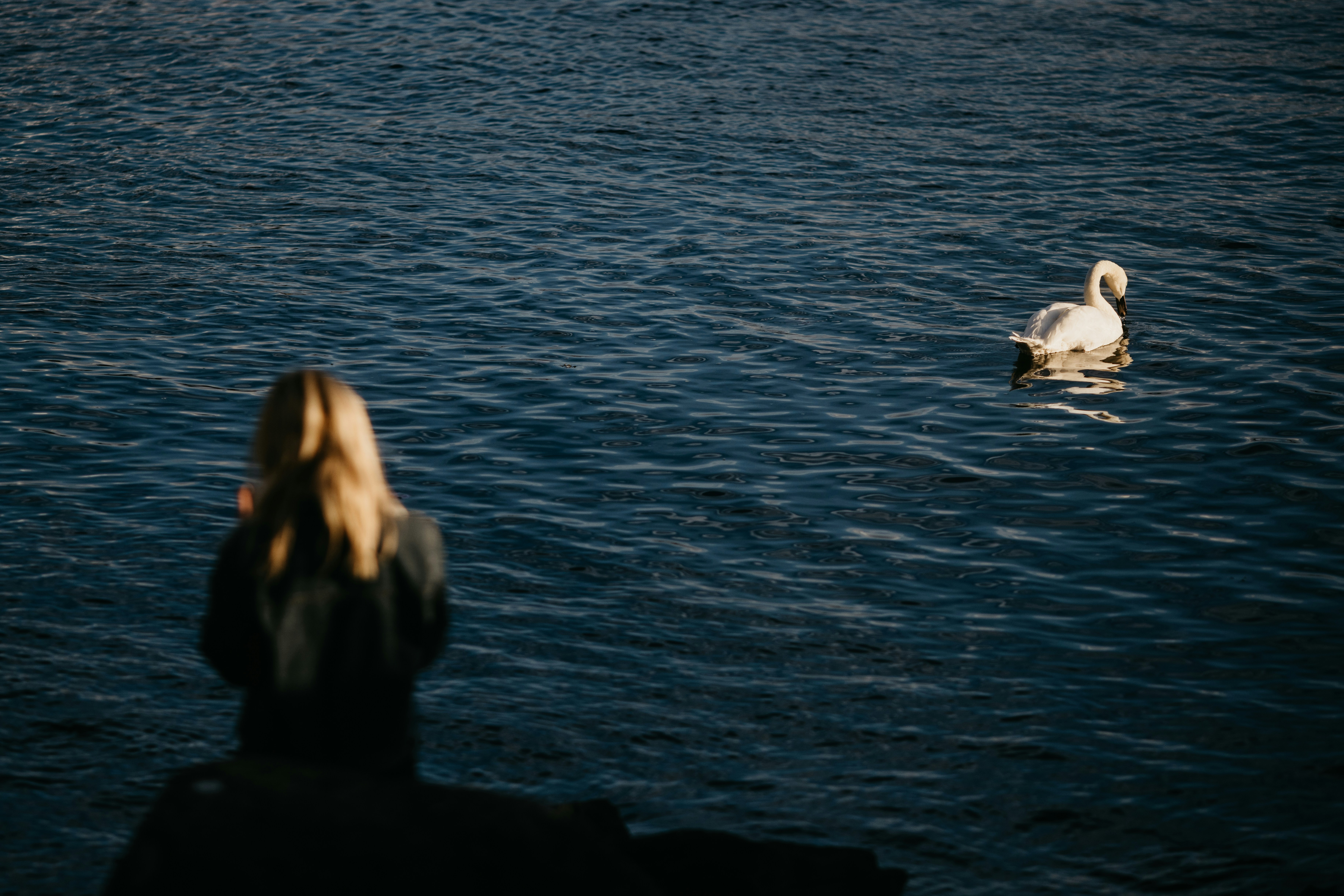 Photo by jonathanborba