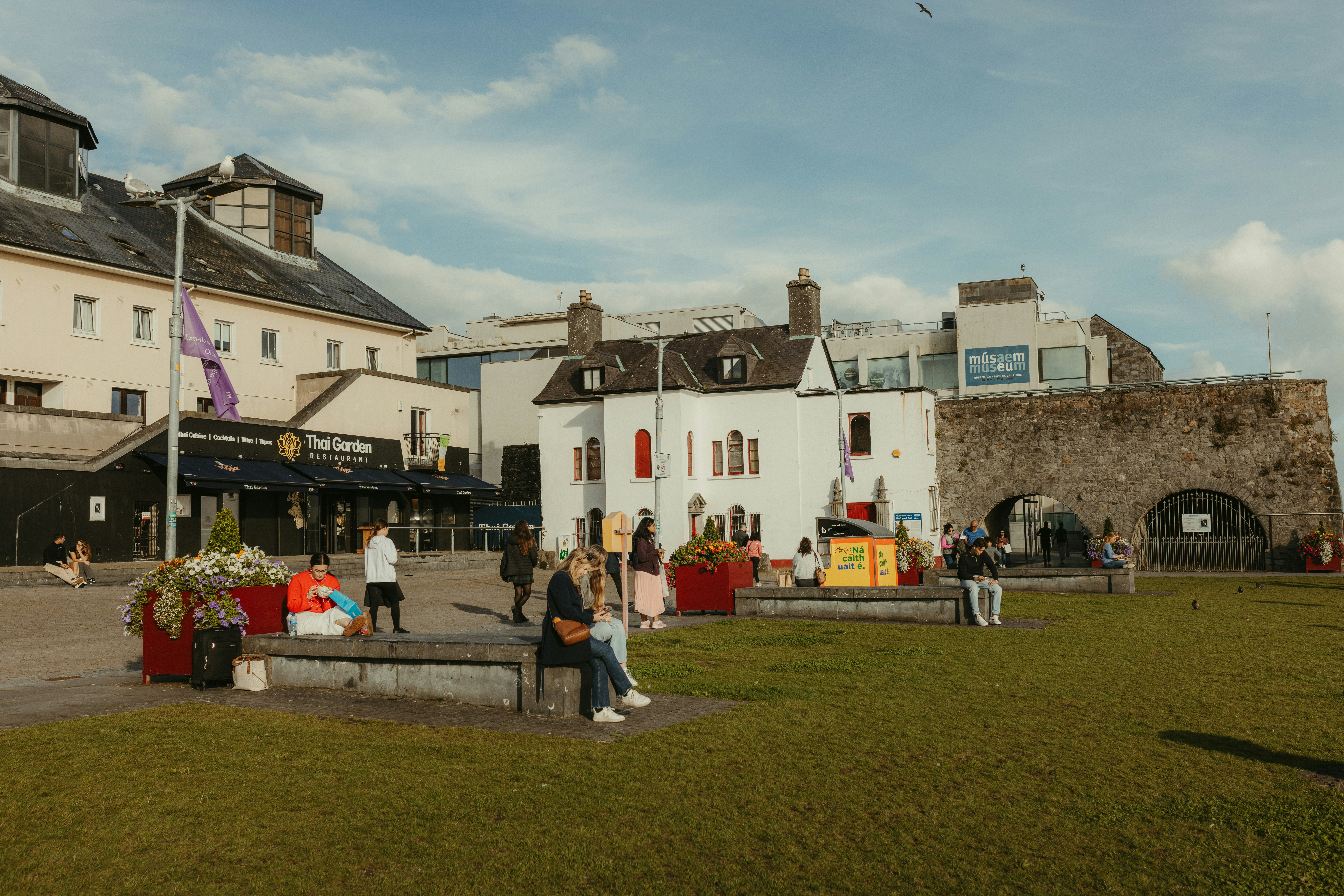 Gort Library