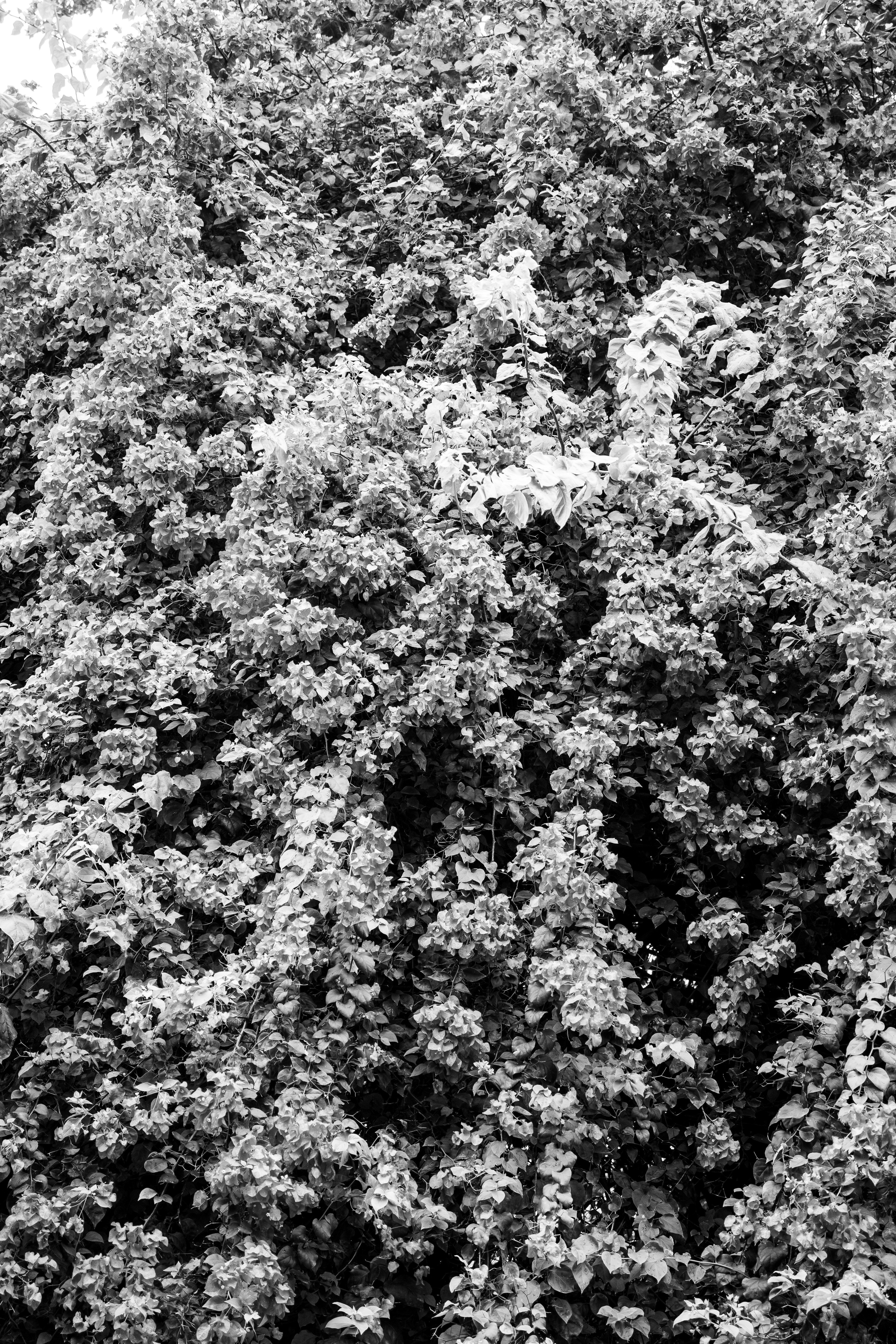 Photo by phuongtography