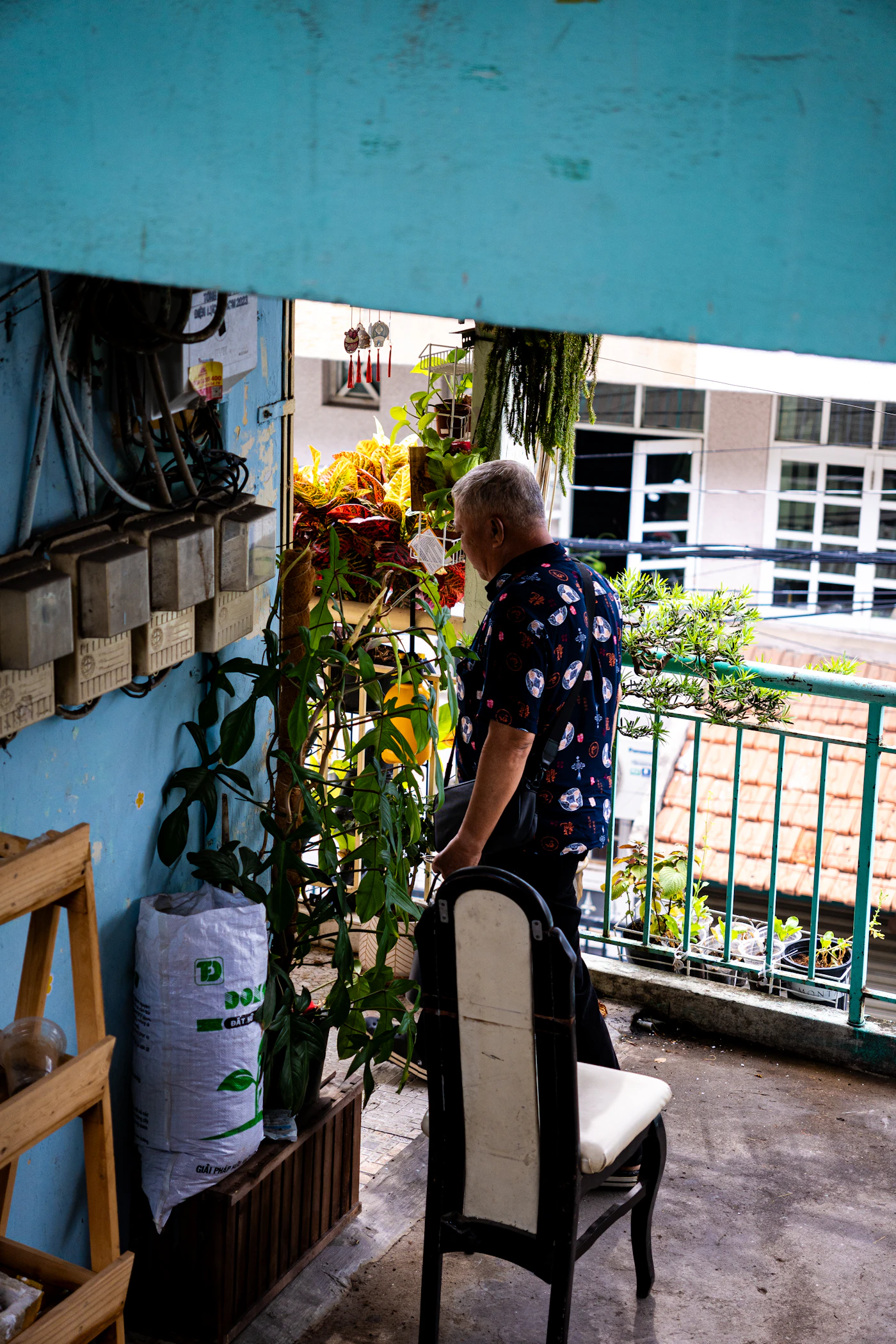 Older adult standing beside plants in natural light