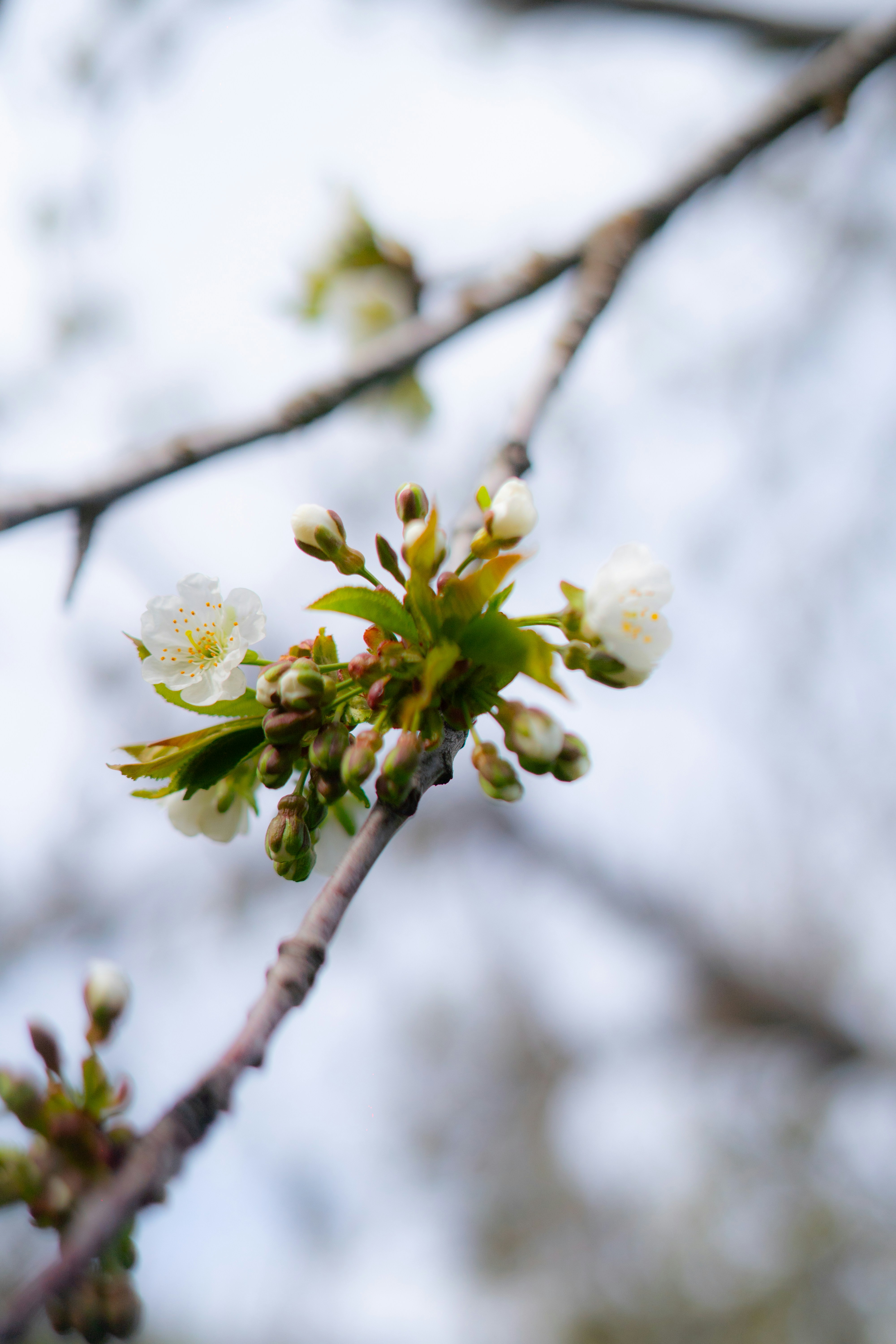 Photo by alexa_filmvibes