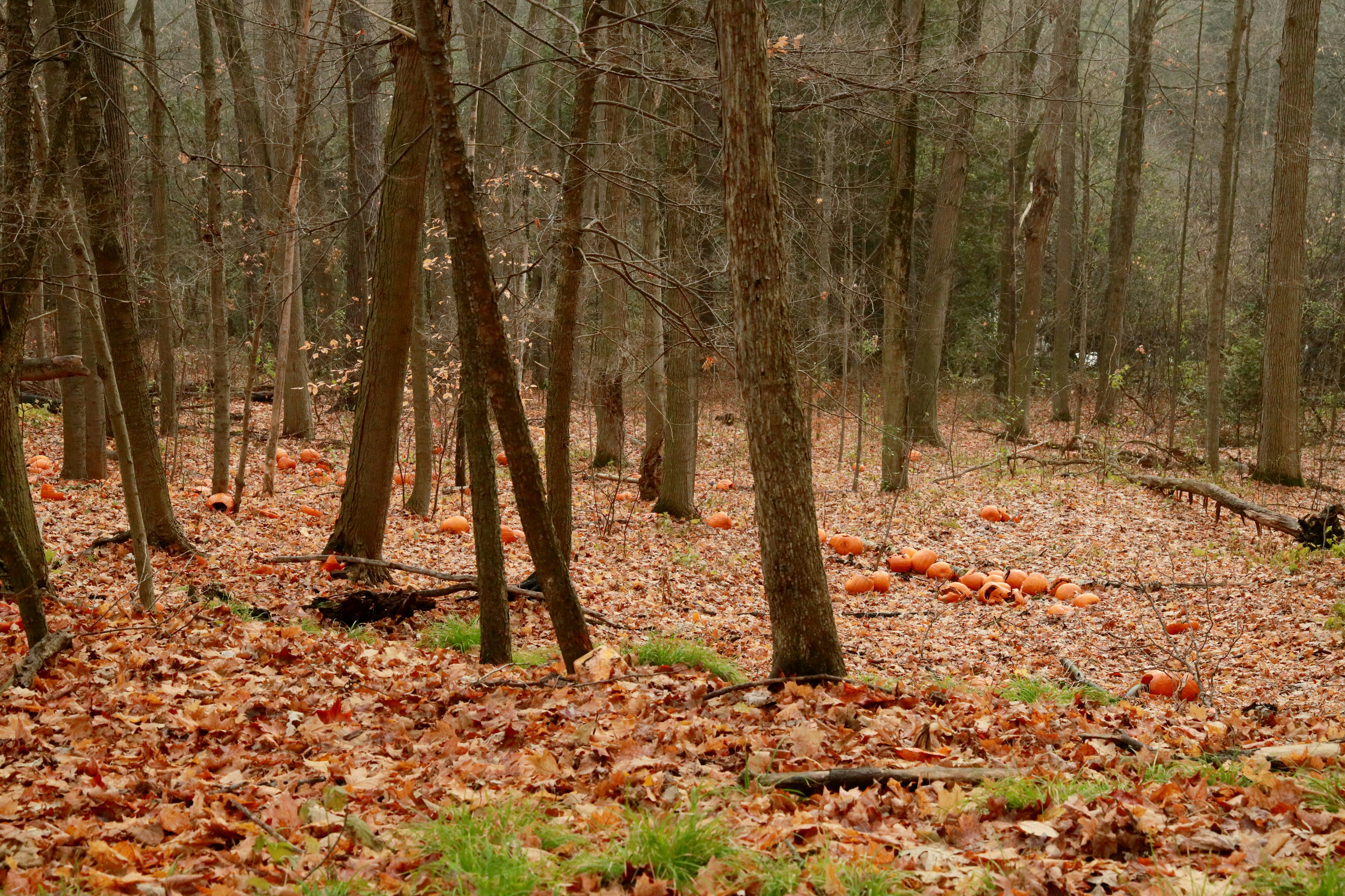 Photo by richardworks