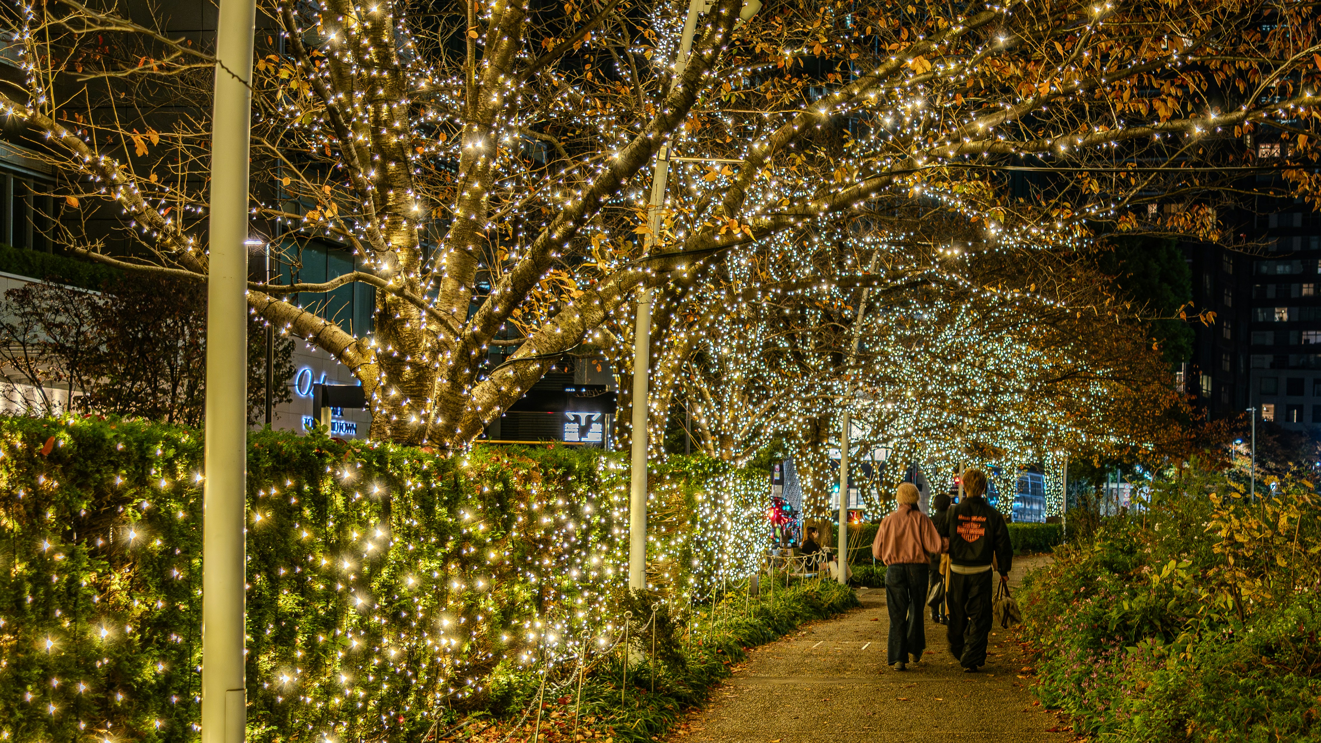 Photo by insane_scene