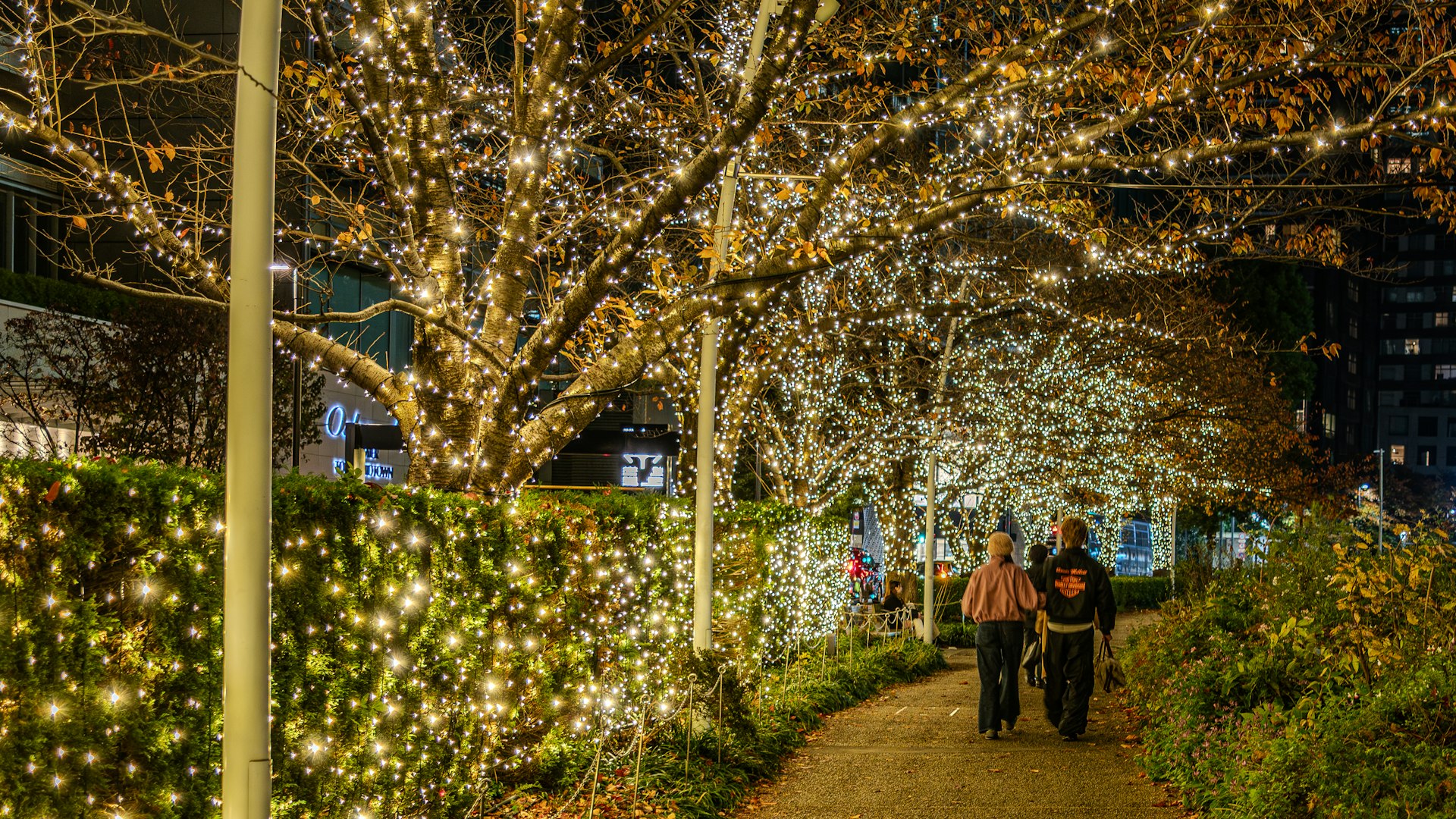 Two people walk on a path lined with glowing lights.