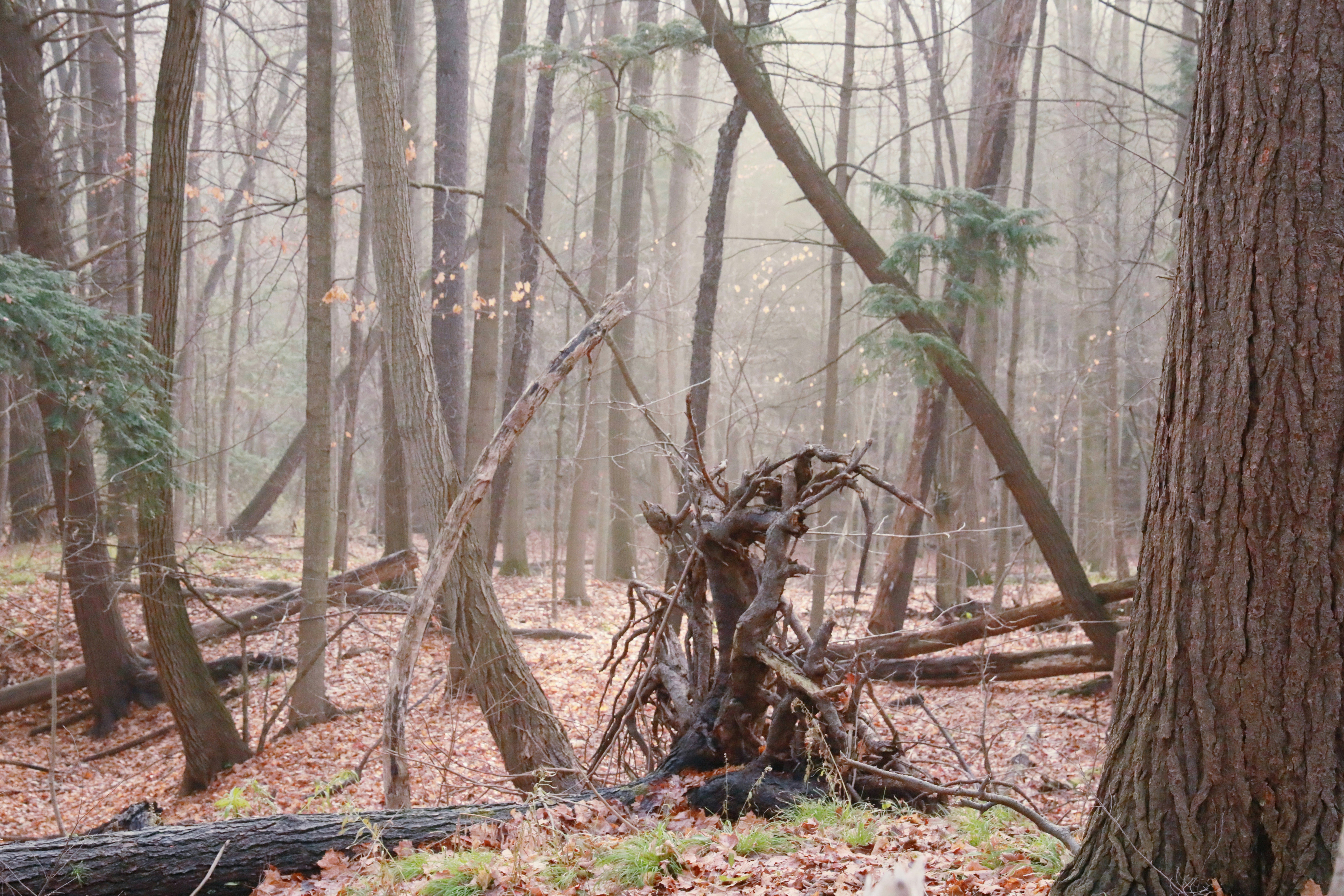 Photo by richardworks