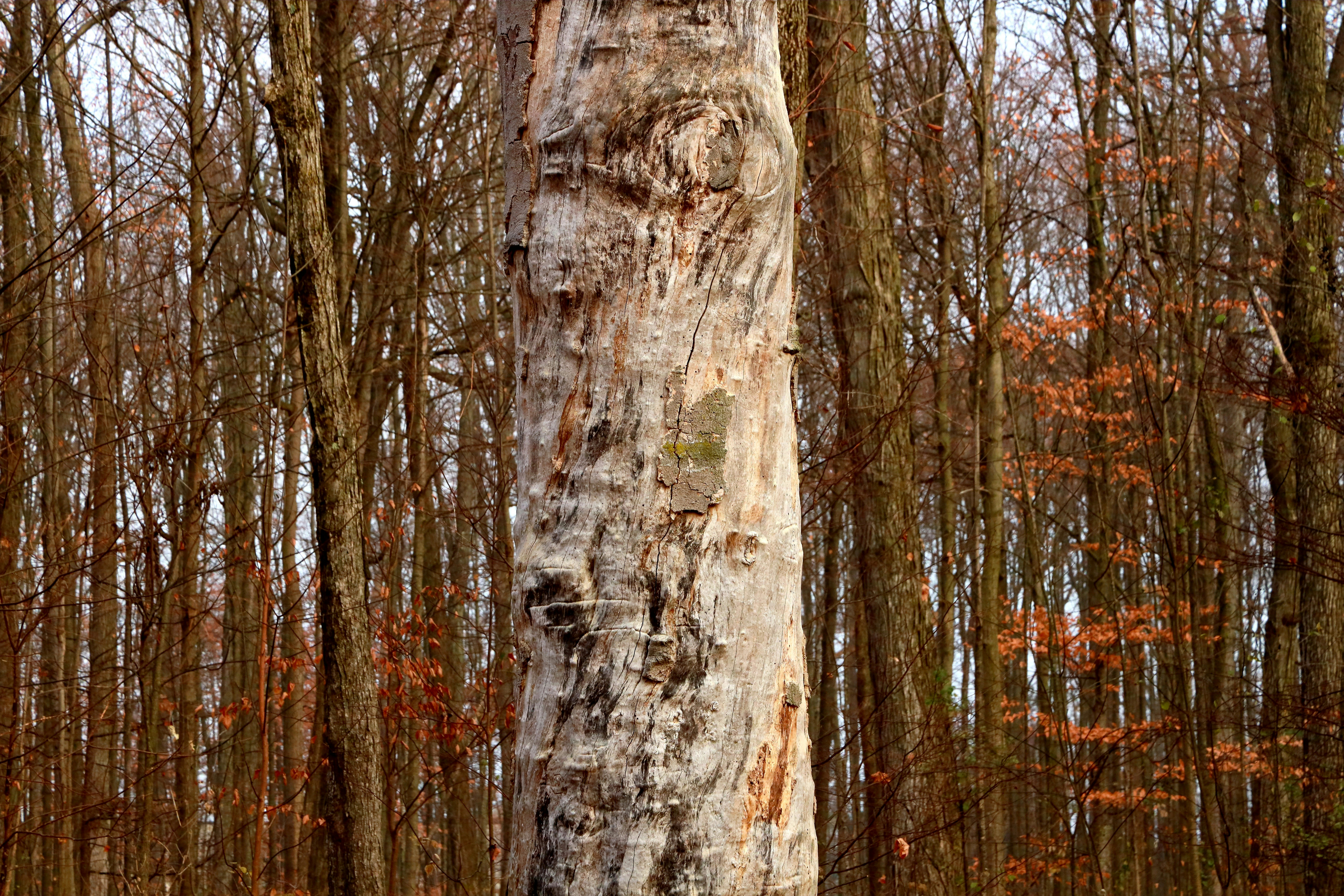 Photo by richardworks