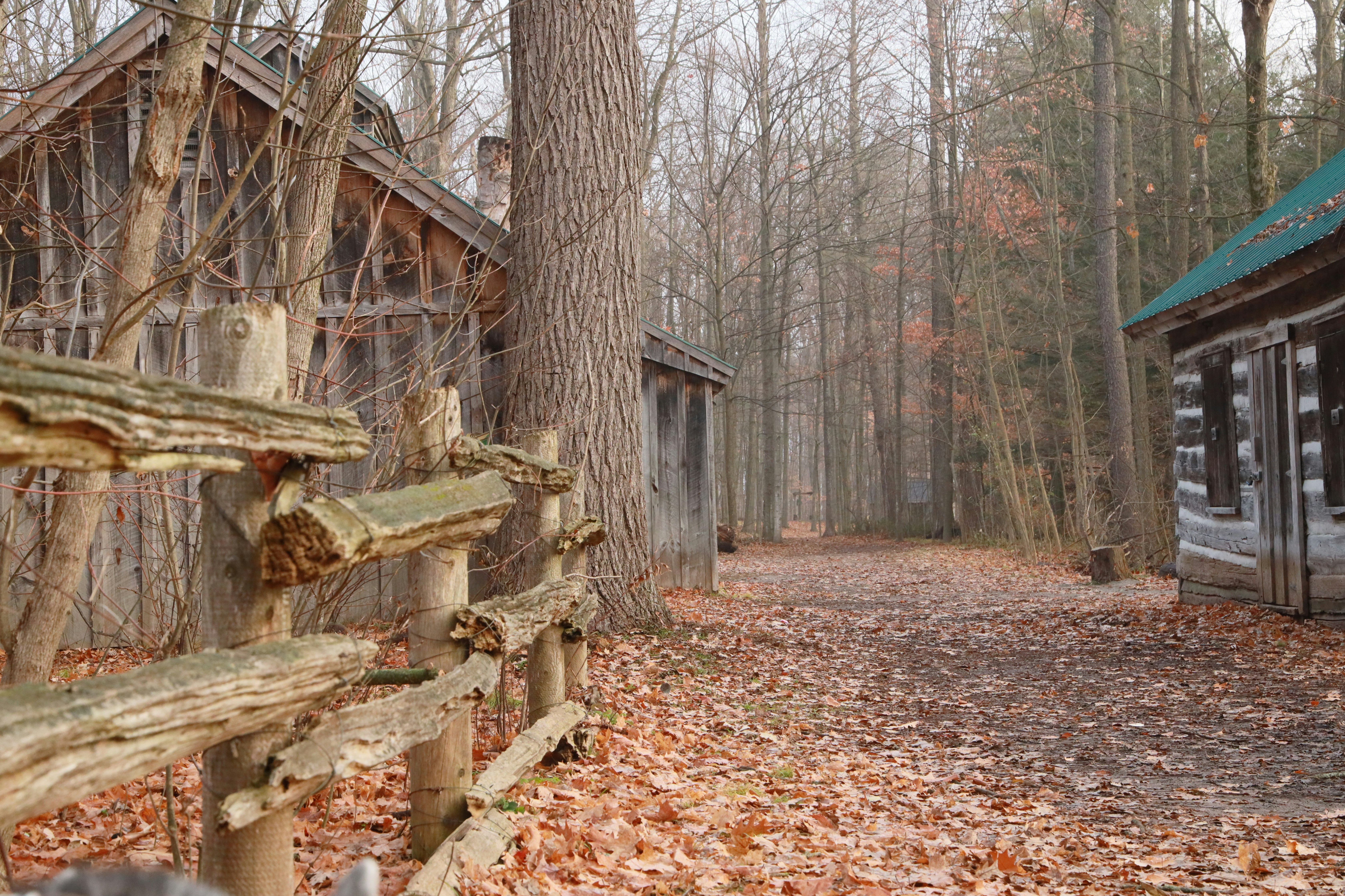 Photo by richardworks