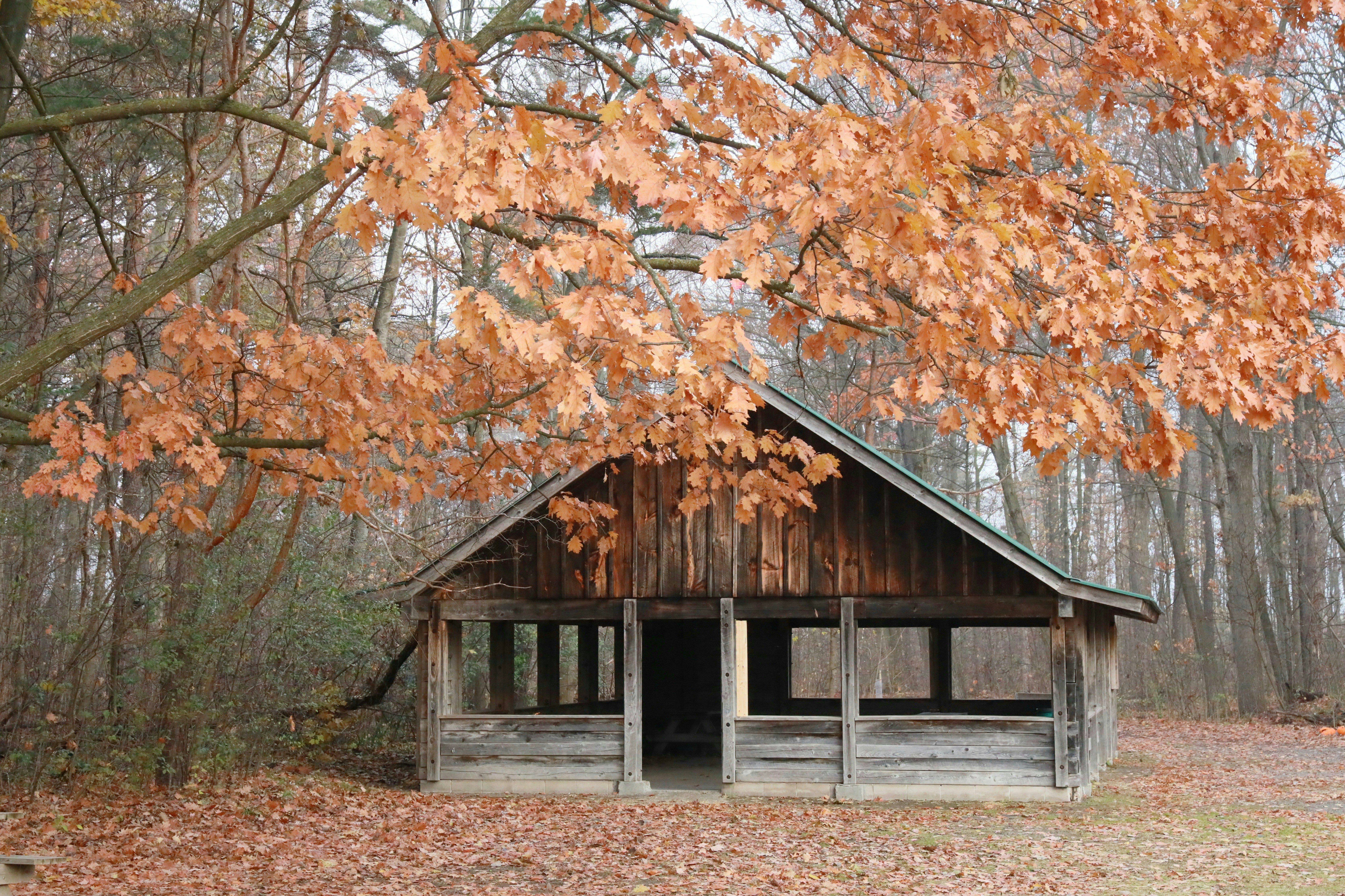 Photo by richardworks