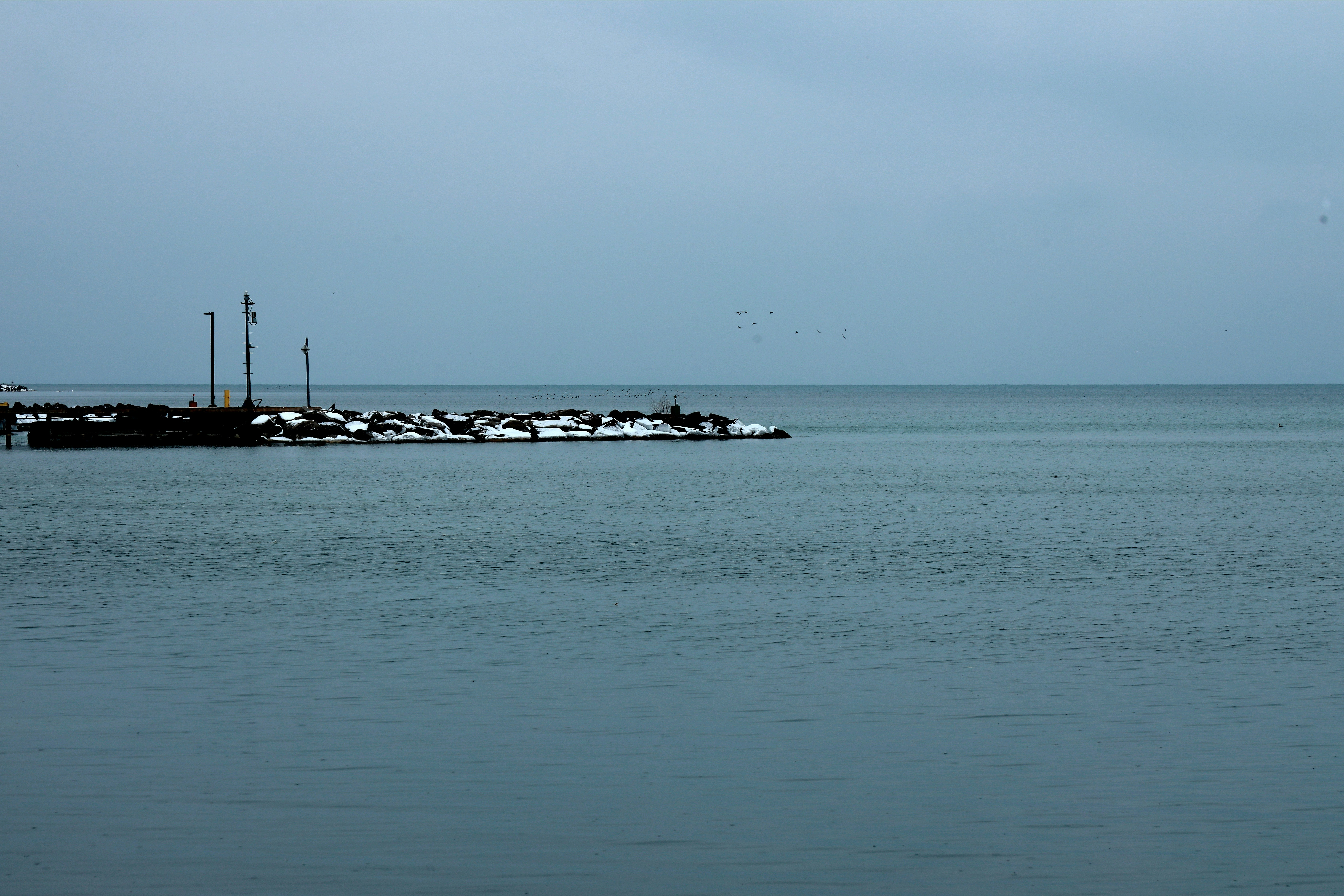 Photo by richardworks