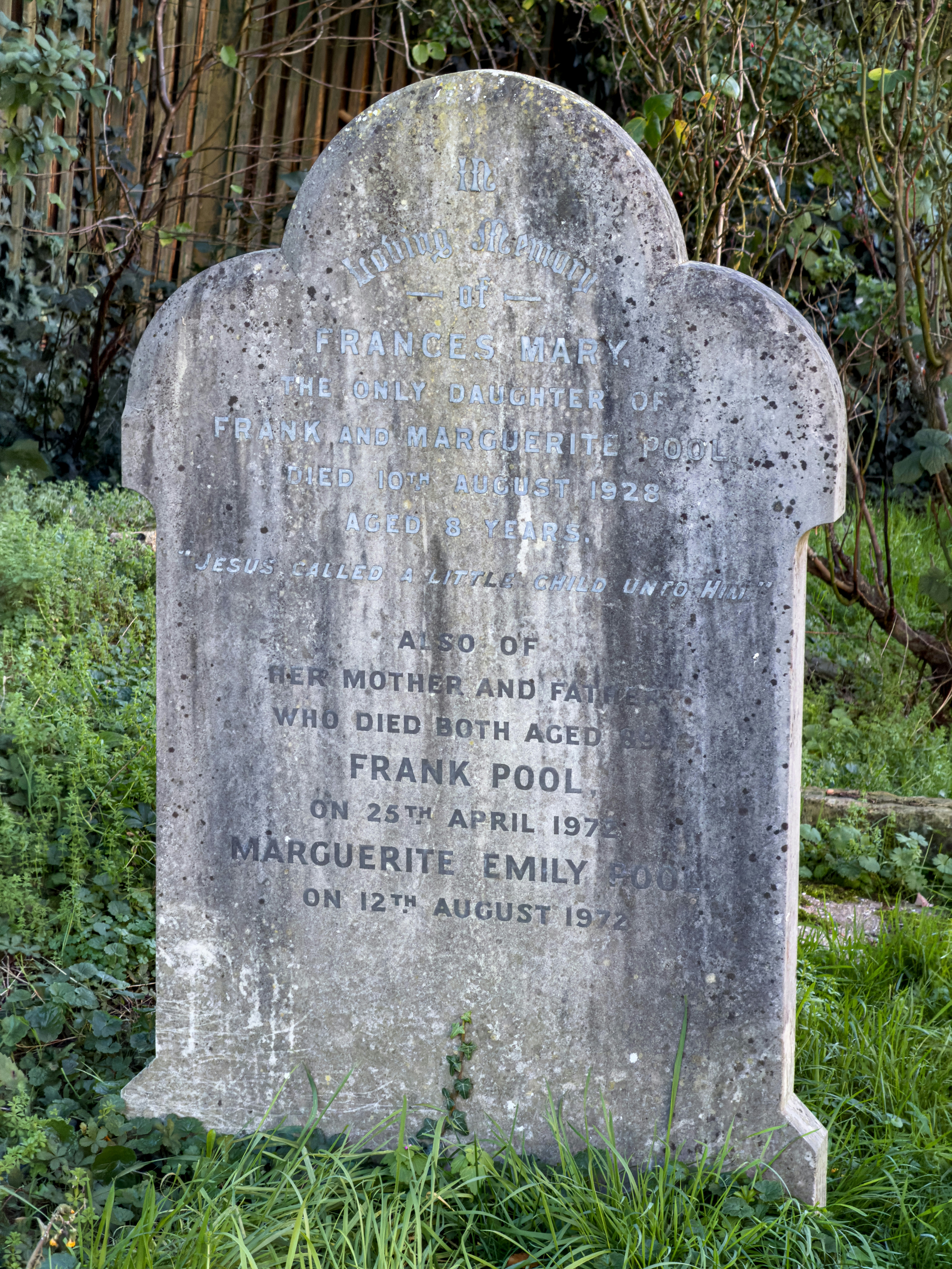 Photo by brett_jordan