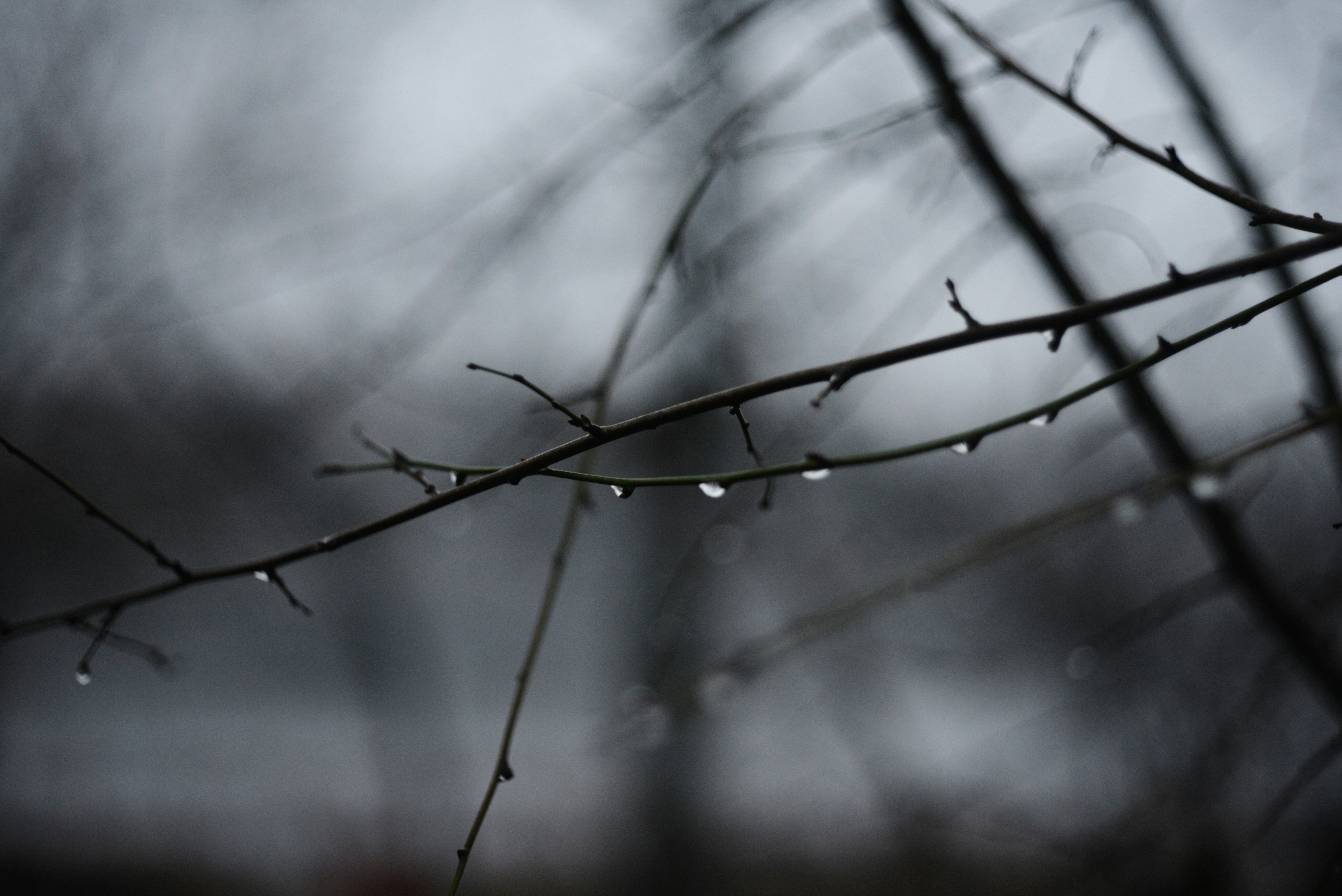 Photo by cherstve_pechivo