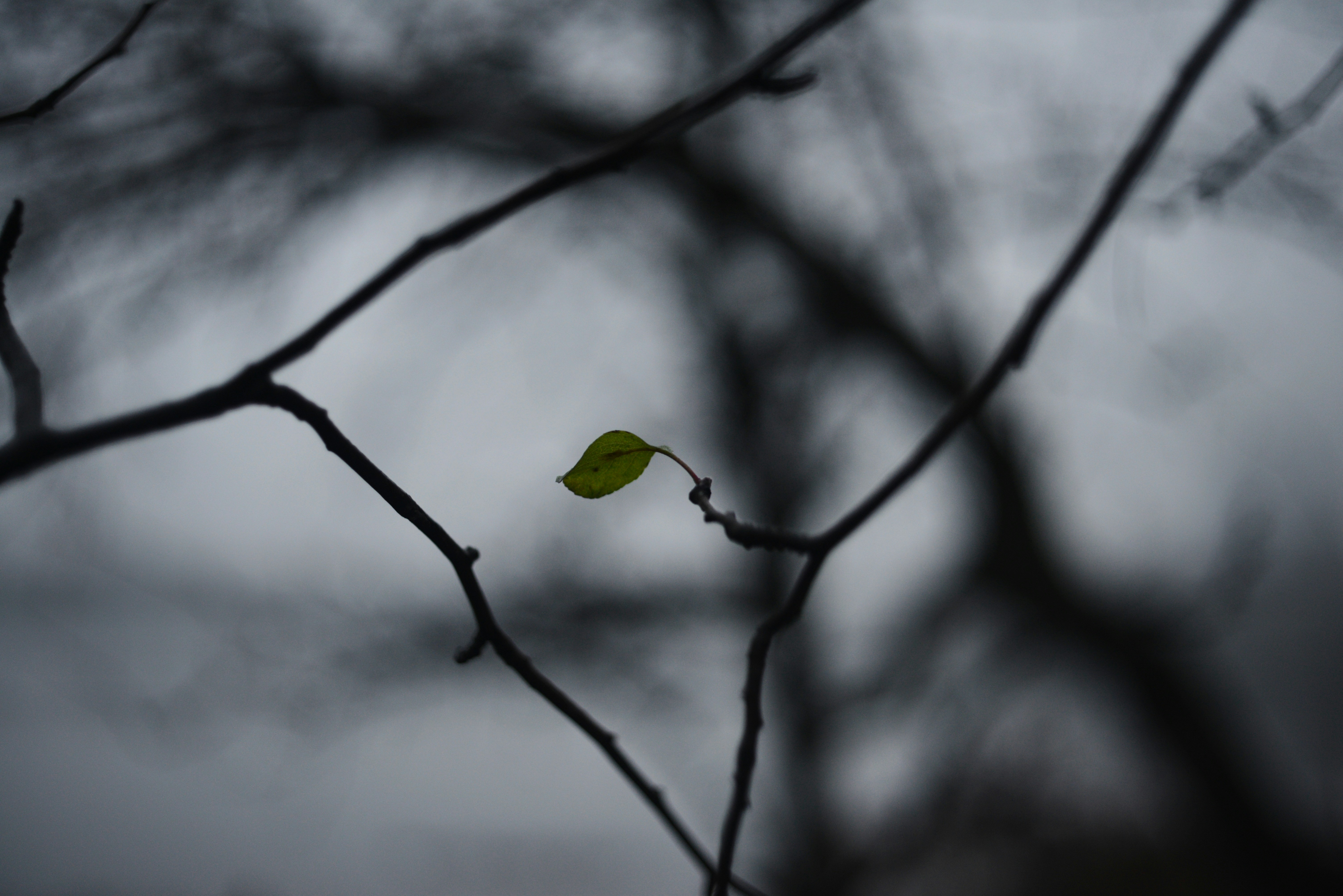 Photo by cherstve_pechivo