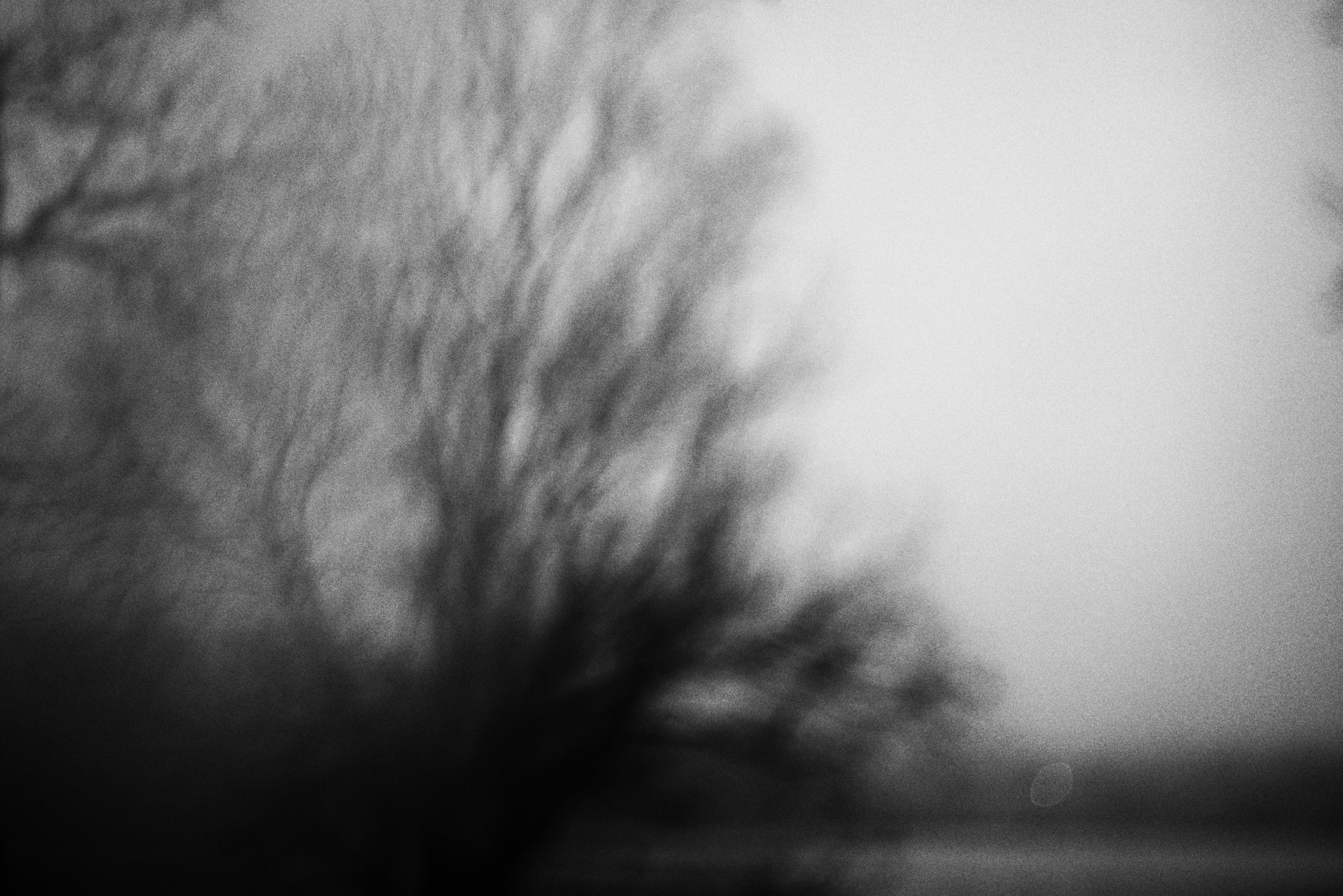 Photo by cherstve_pechivo