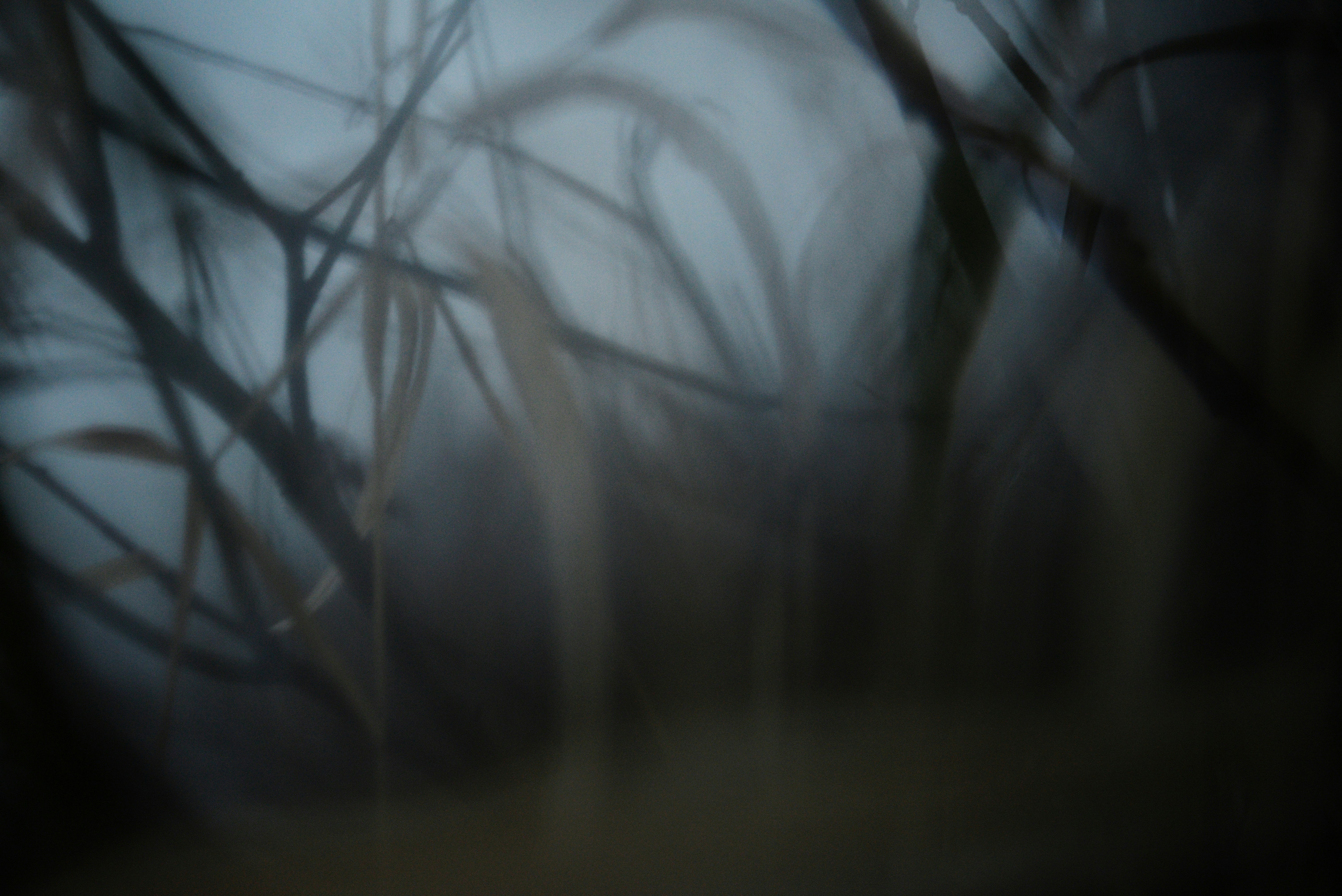 Photo by cherstve_pechivo