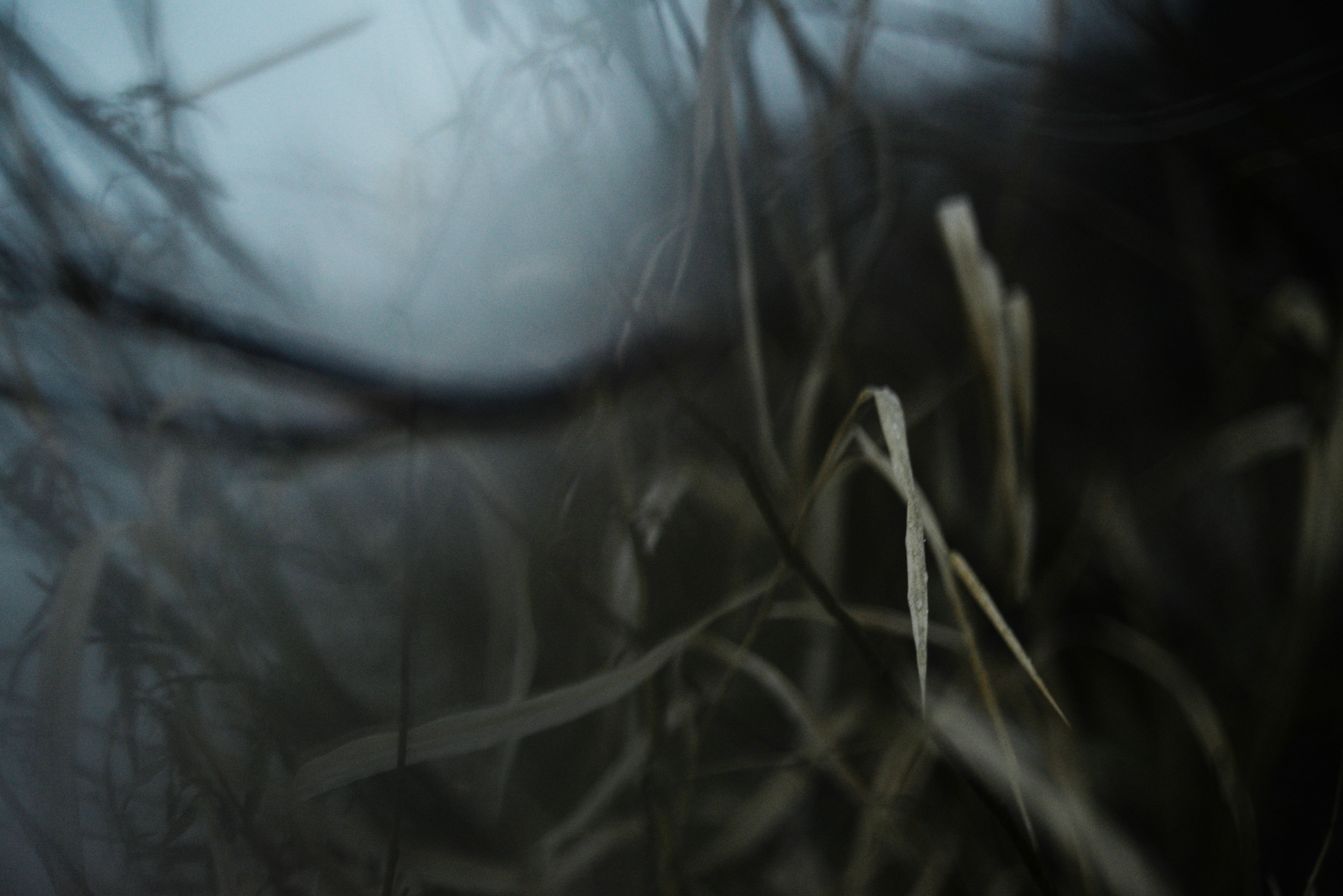 Photo by cherstve_pechivo