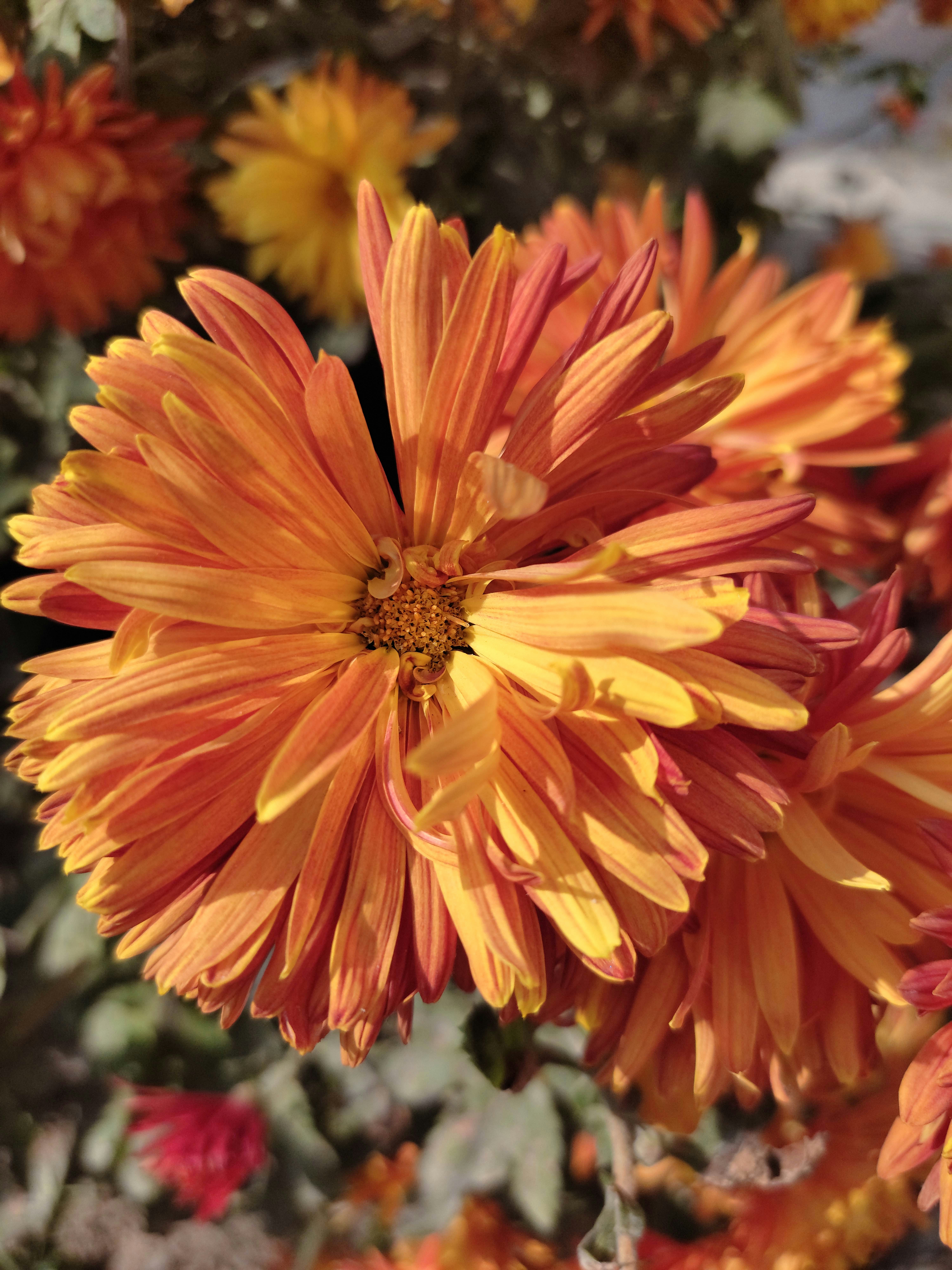 Photo by b_theweirdone