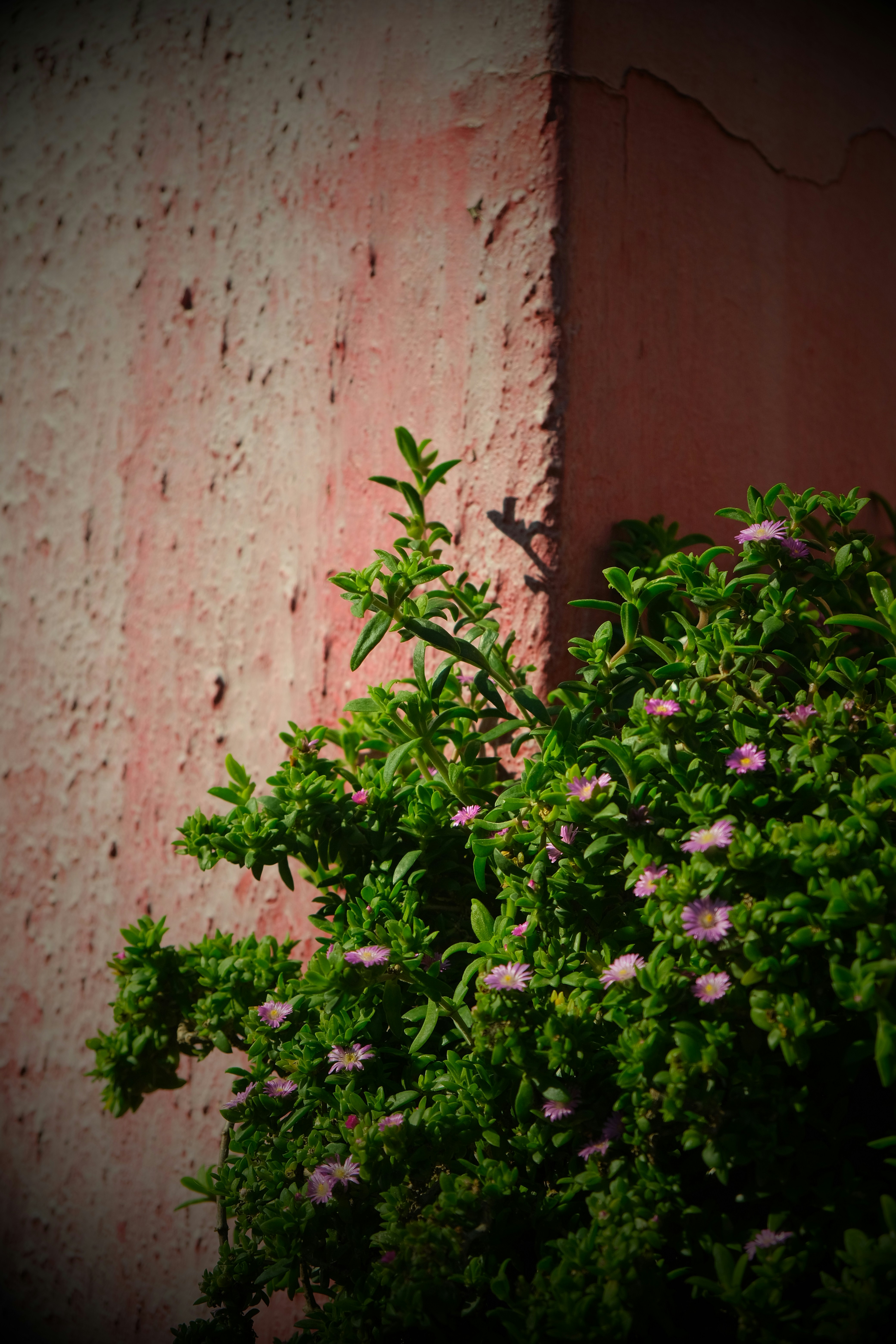 Photo by shanewester