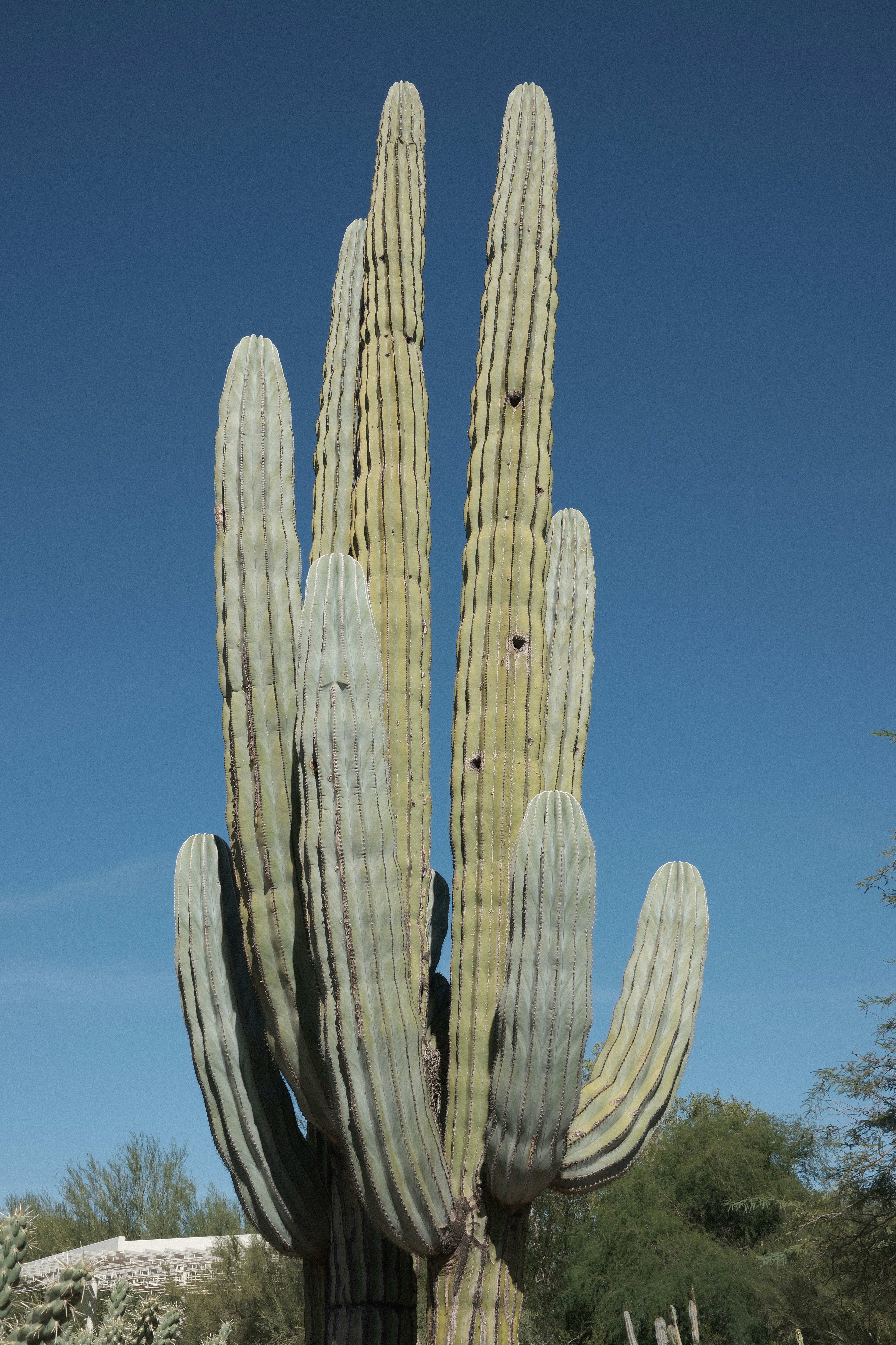 Photo by theolaflamme