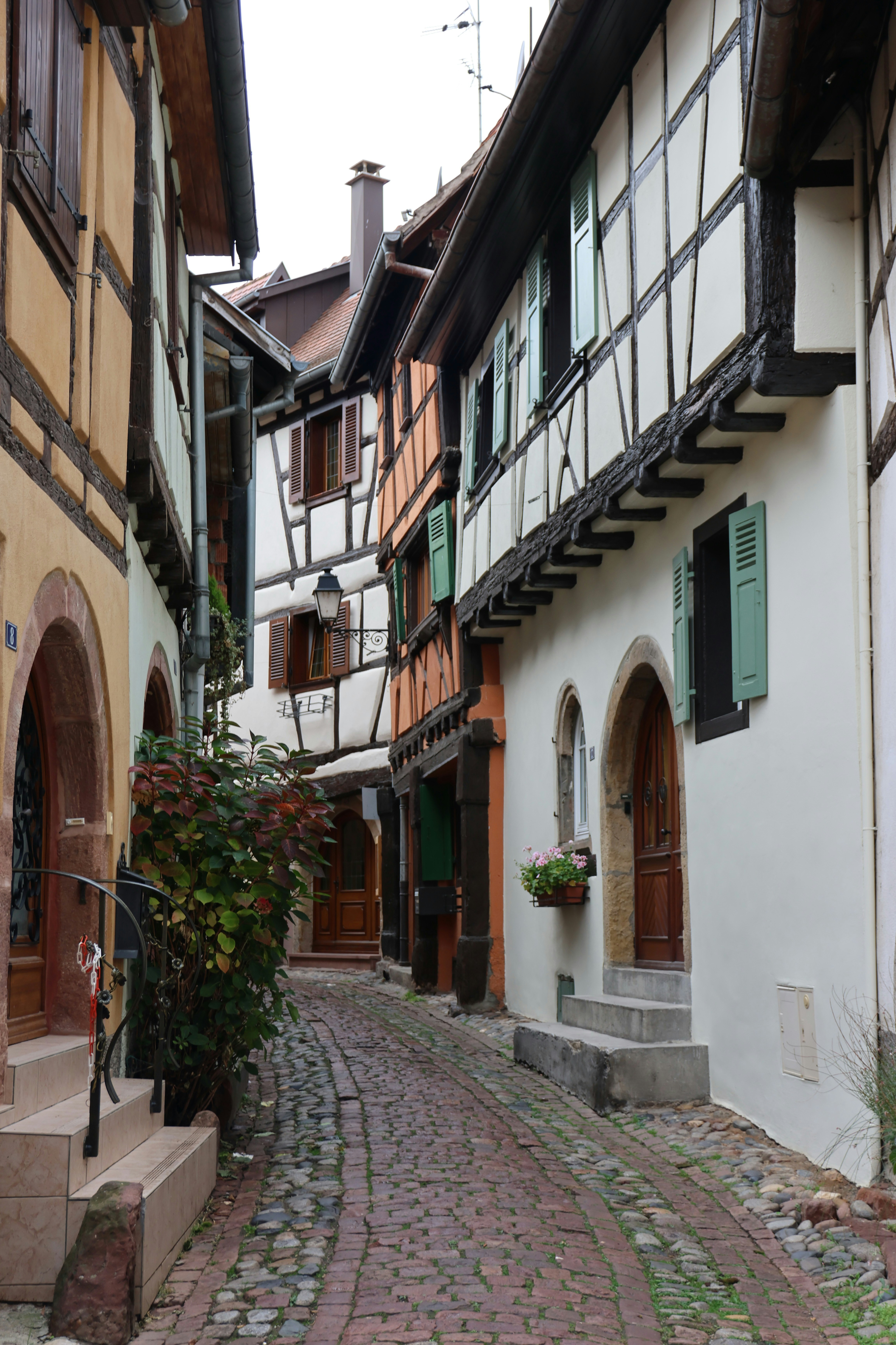 Photo by christoph_68