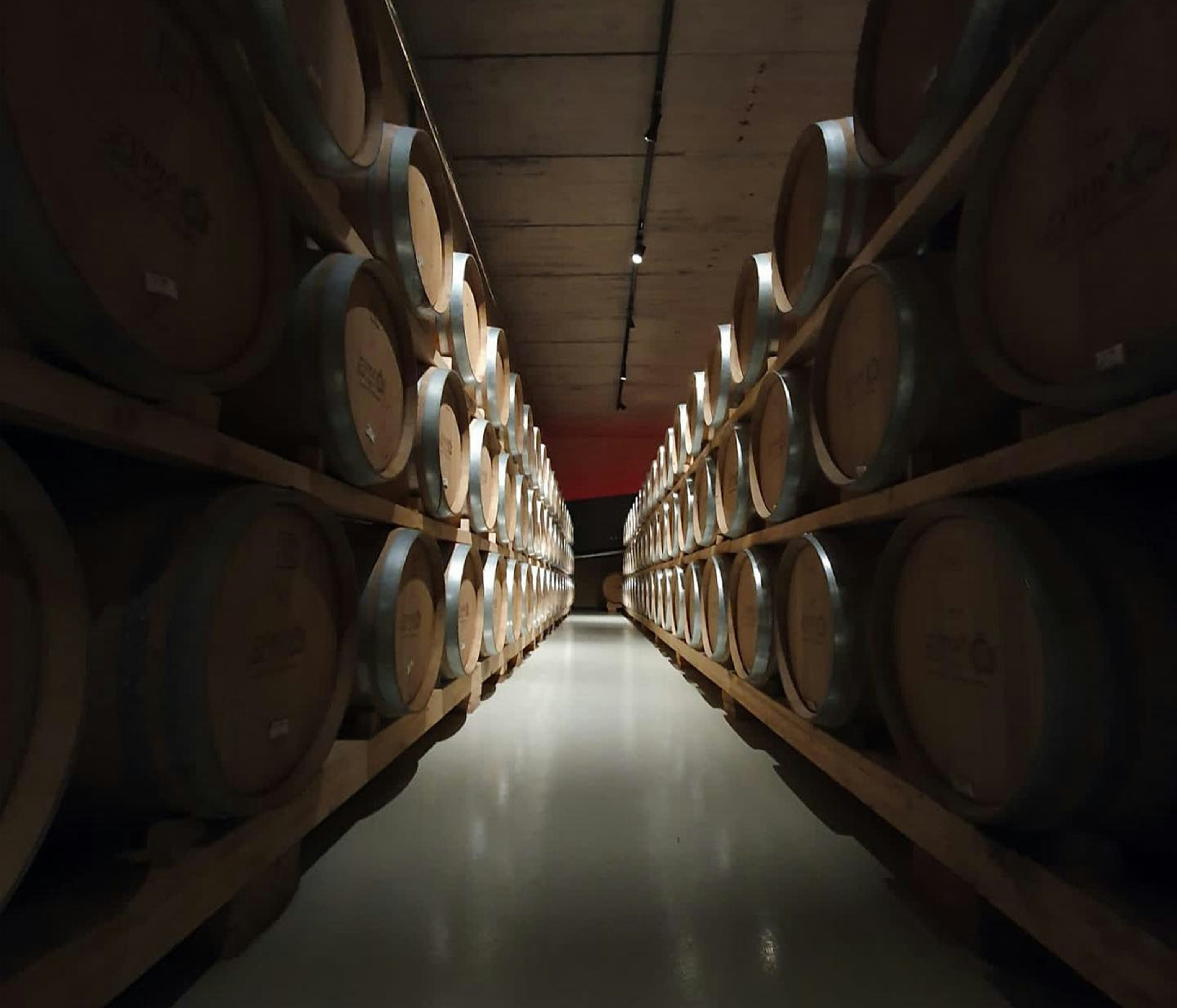 Fermentation and Formula: How American Craft Producers Are Marrying Data With Instinct