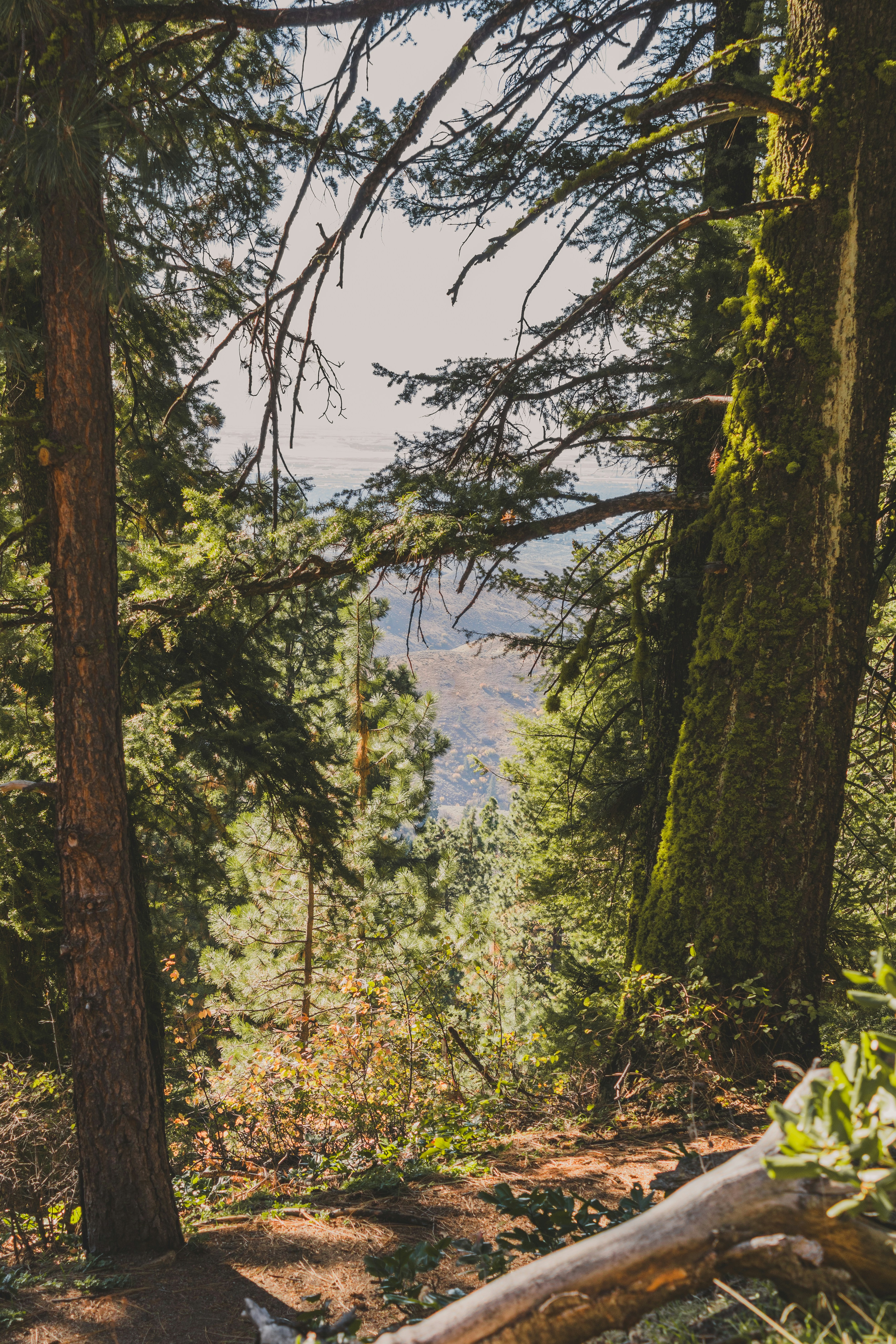 Photo by tatertots4robots