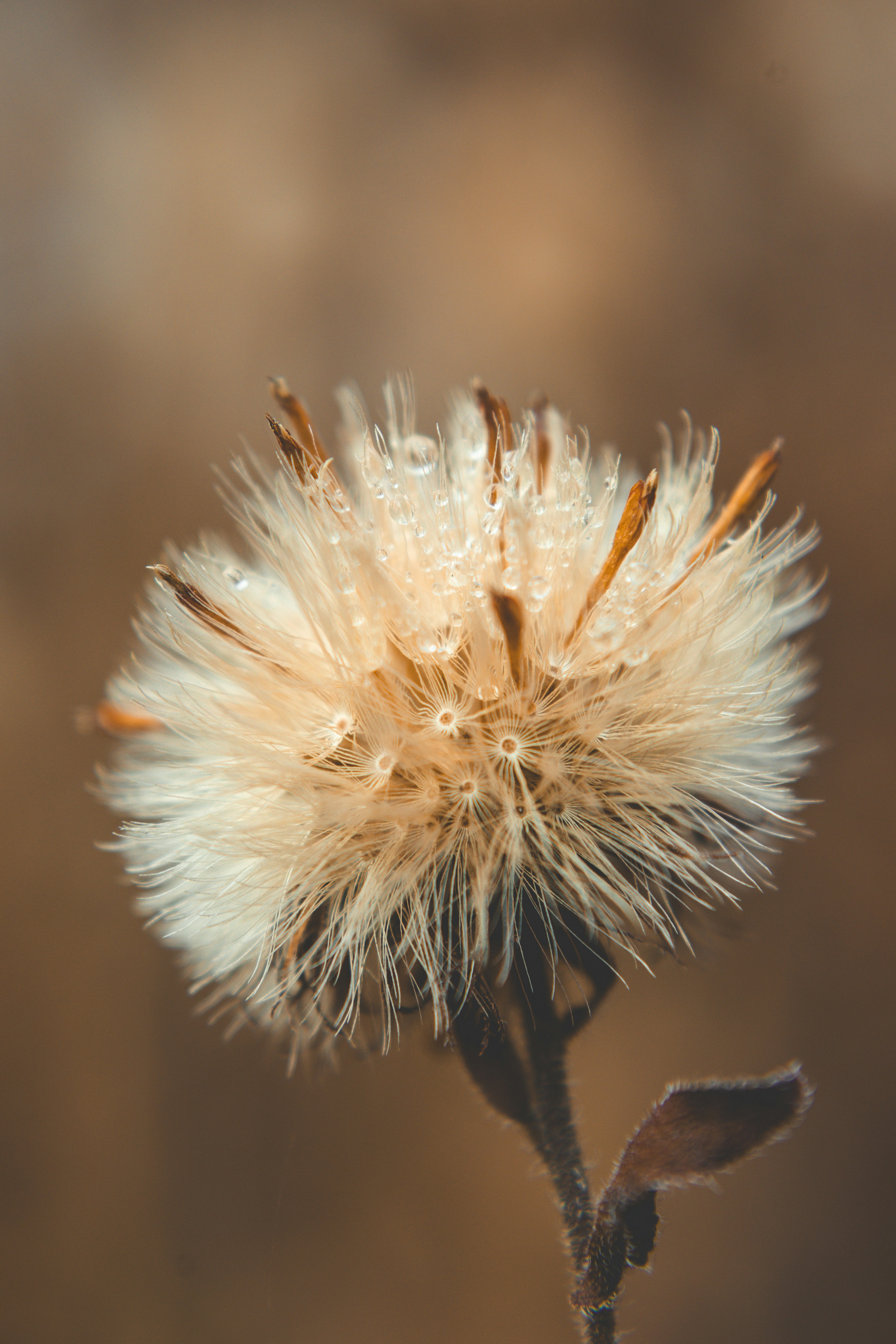 Photo by tatertots4robots