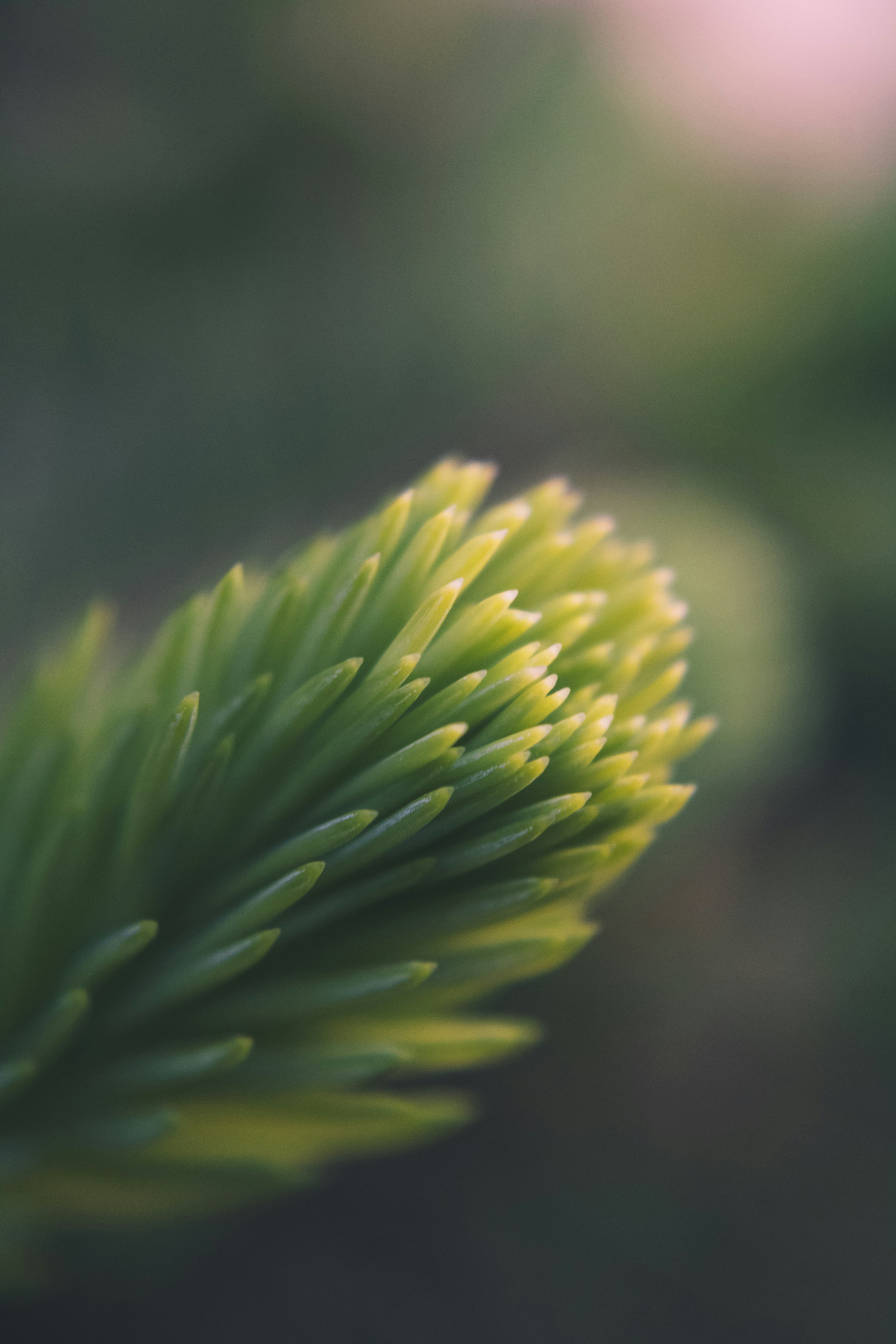 Photo by tatertots4robots