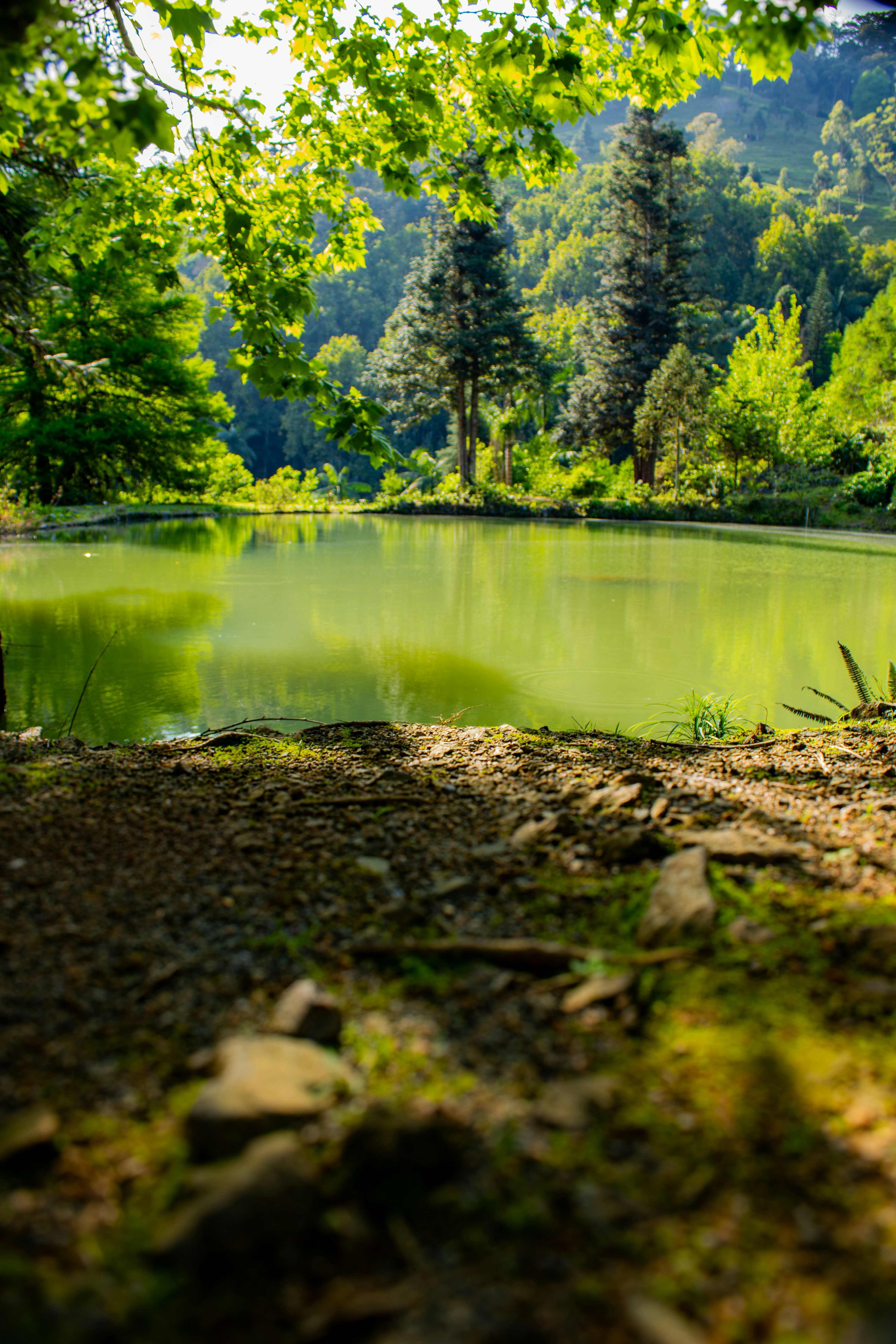 Photo by lerossiphotos