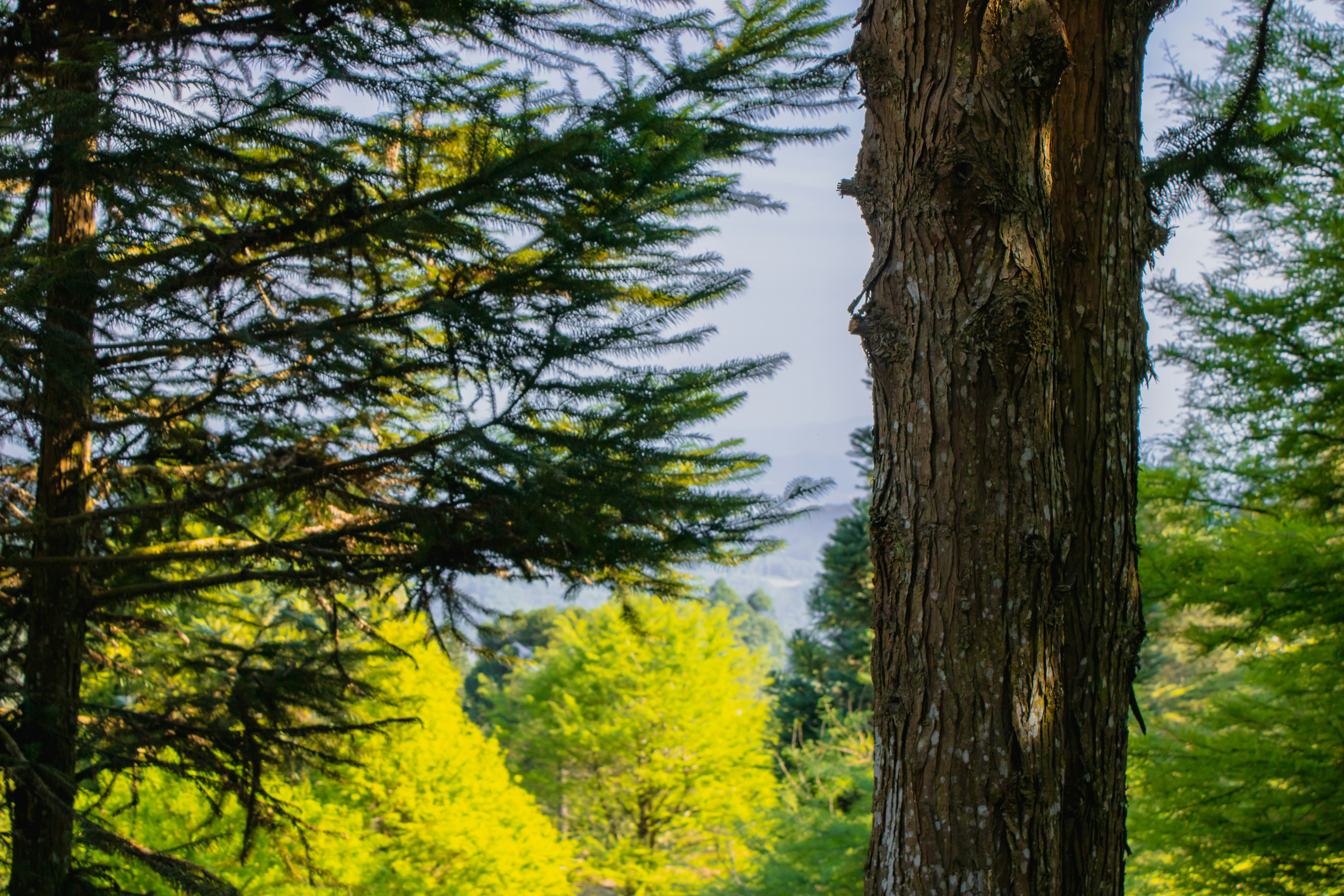 Photo by lerossiphotos