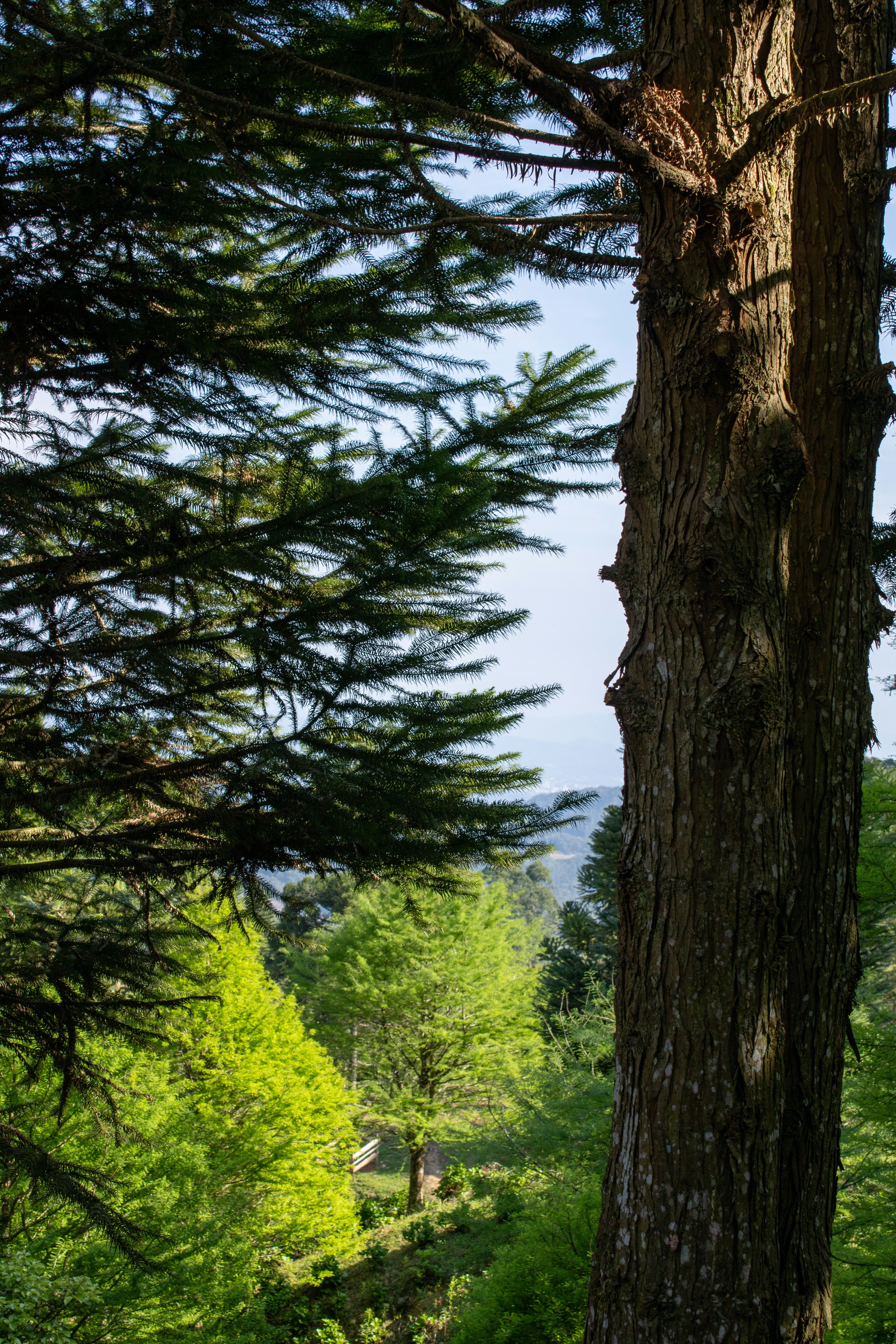 Photo by lerossiphotos