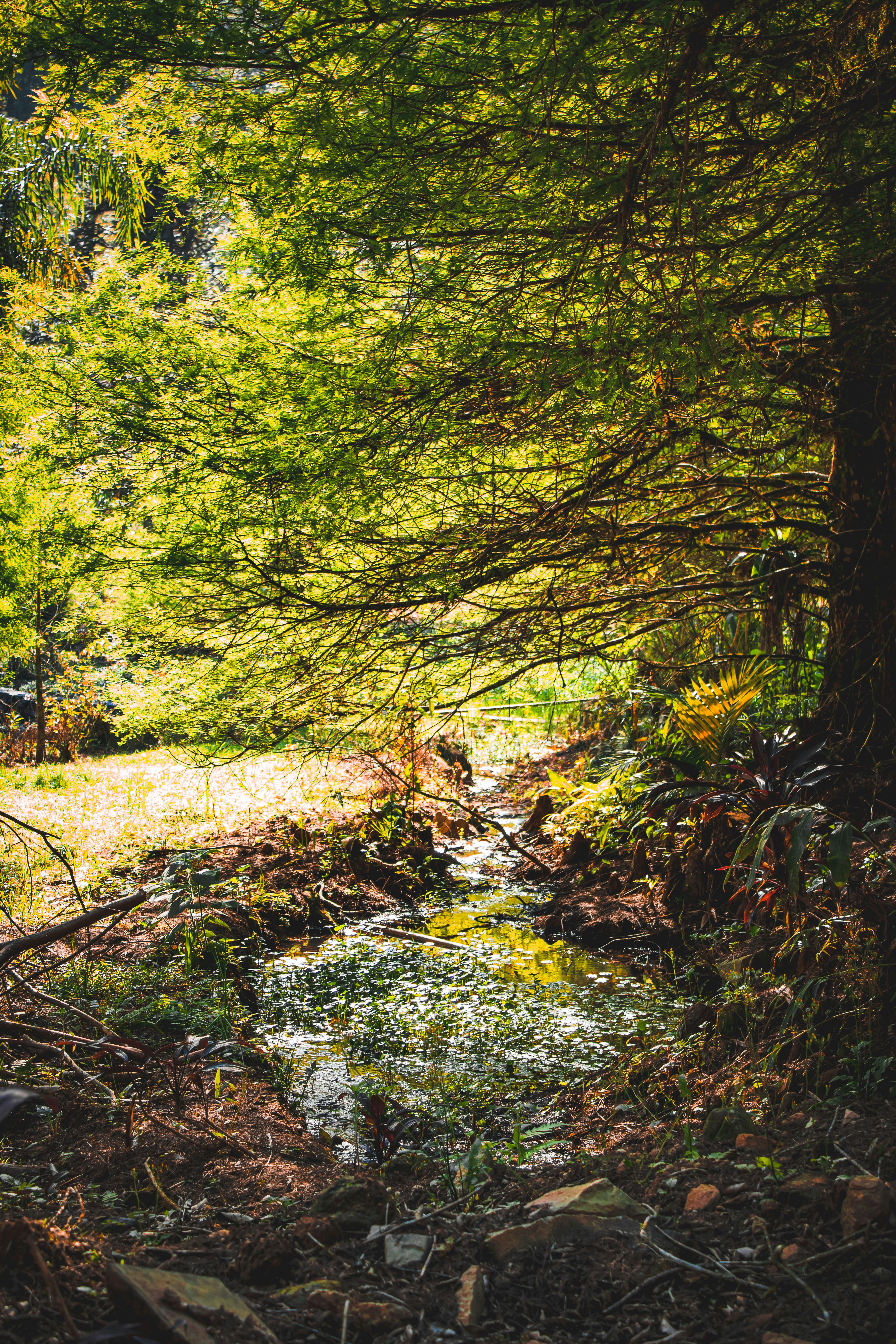 Photo by lerossiphotos