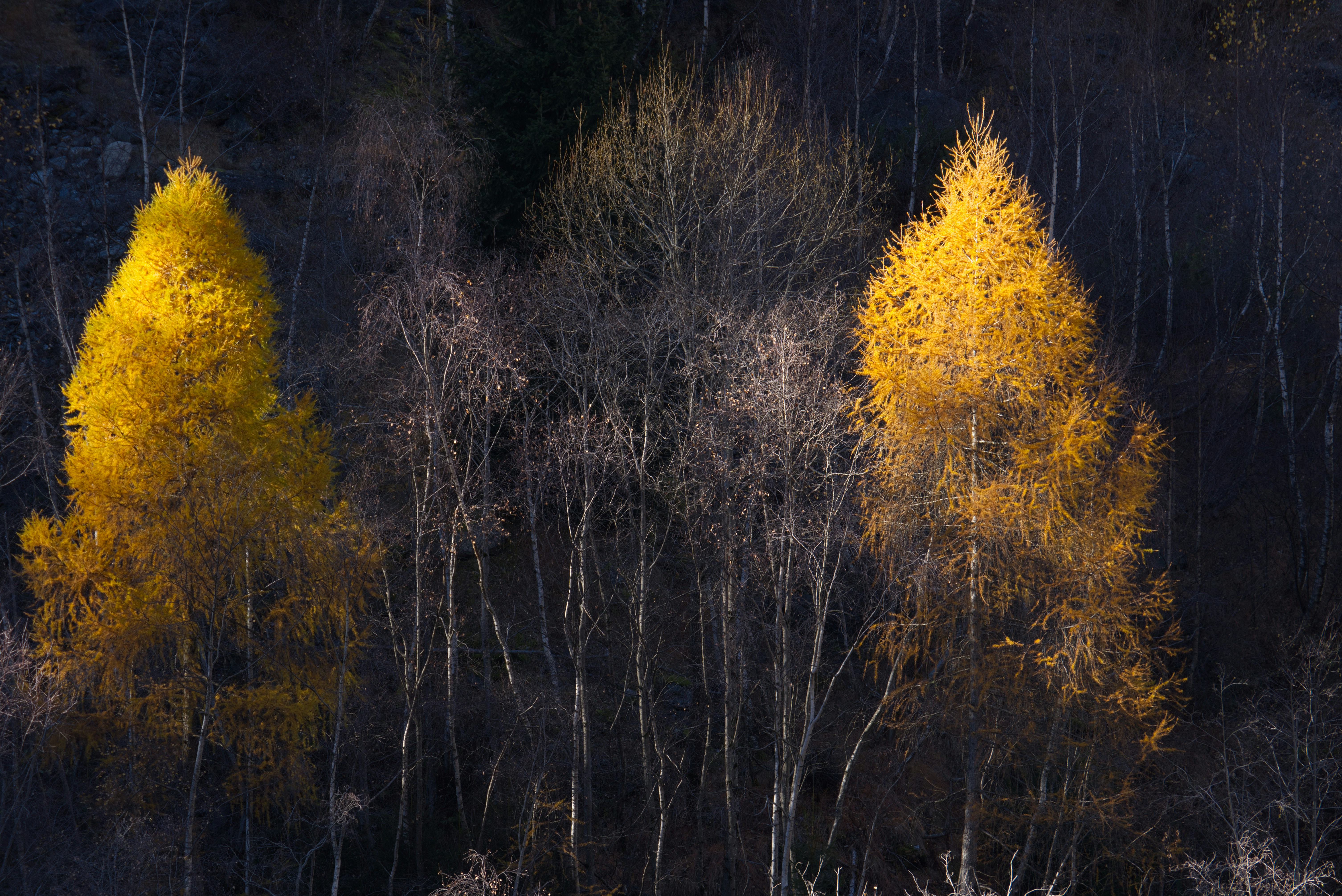 Photo by matteo_skyrider