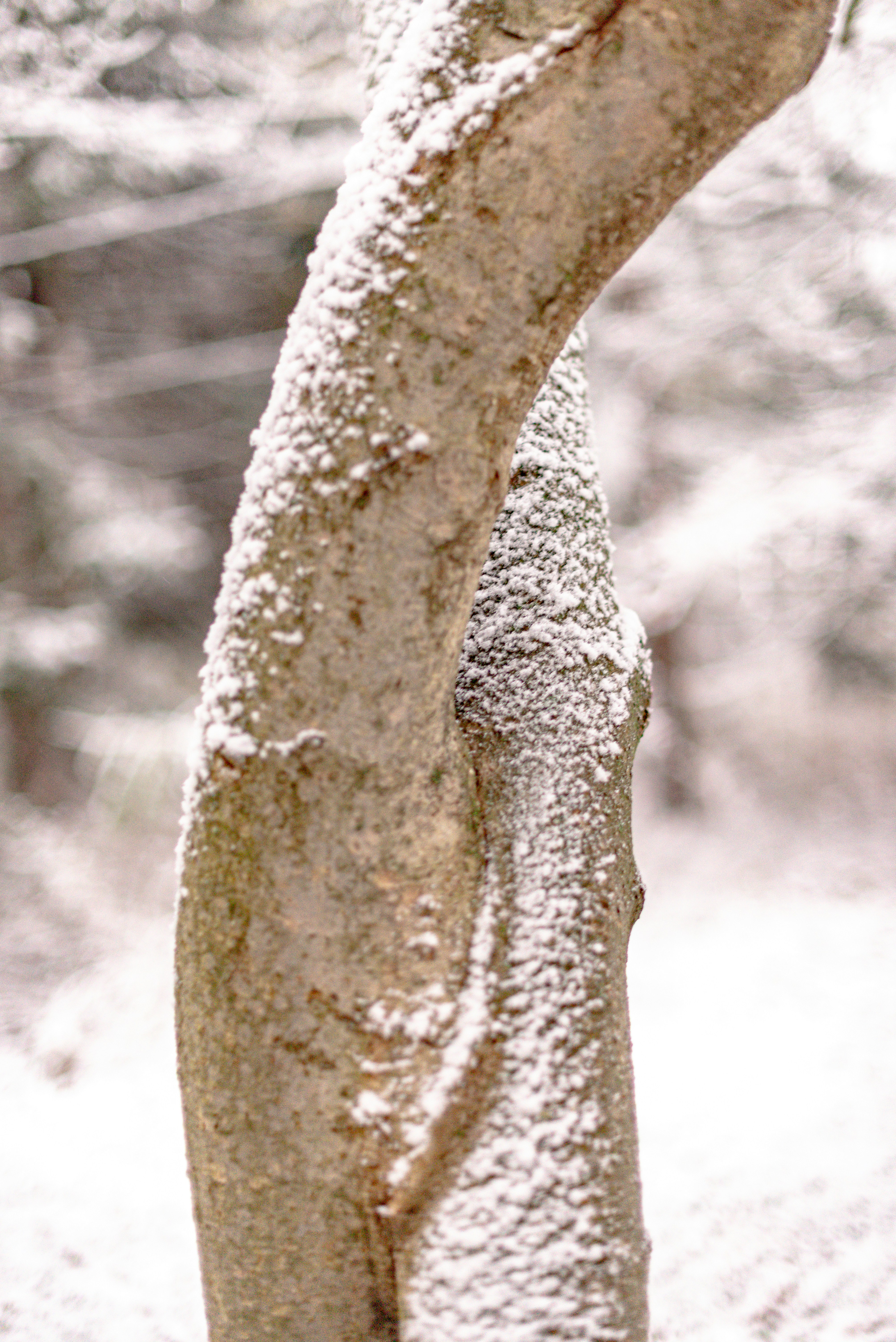 winter skin texture, wallpaper, Cold Weather Acne: Why Winter Irritates Skin 5