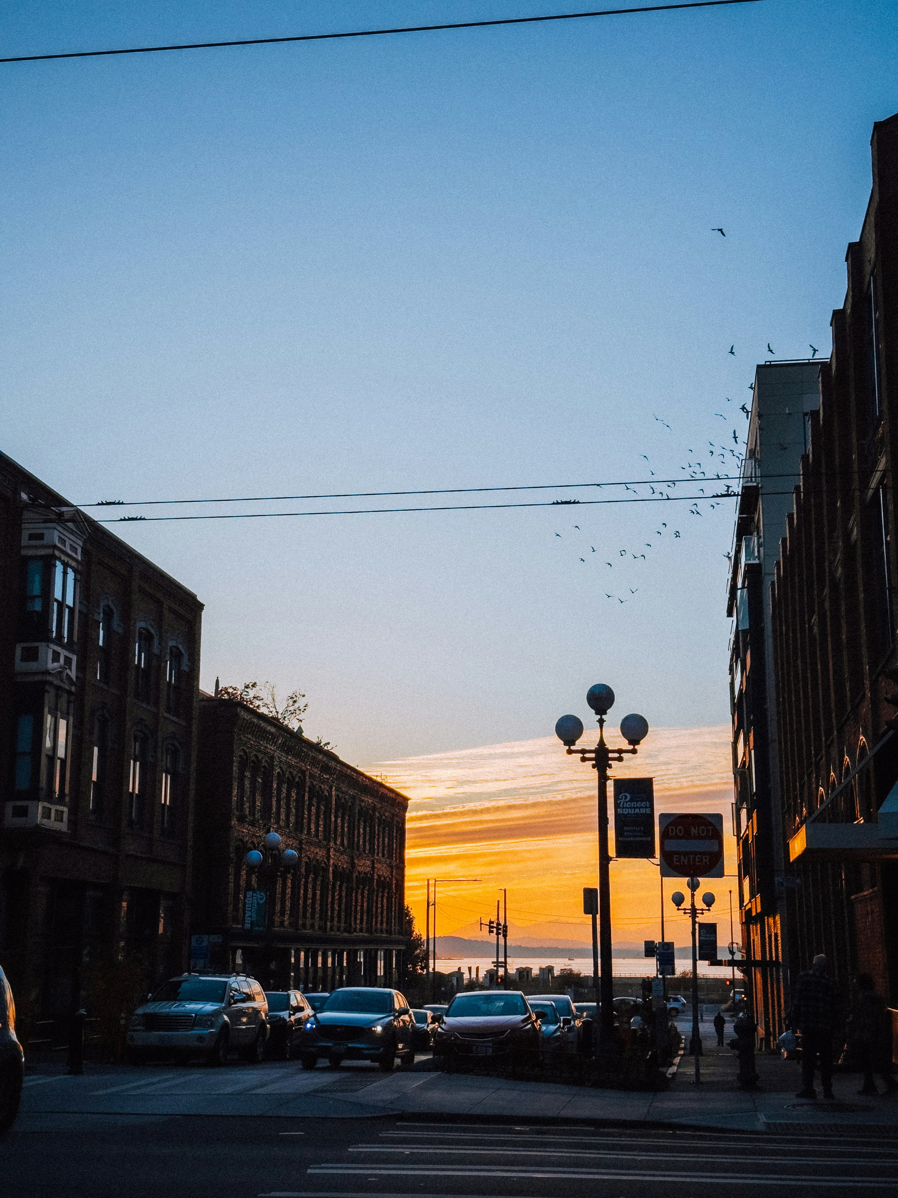 Photo by kamerondesign