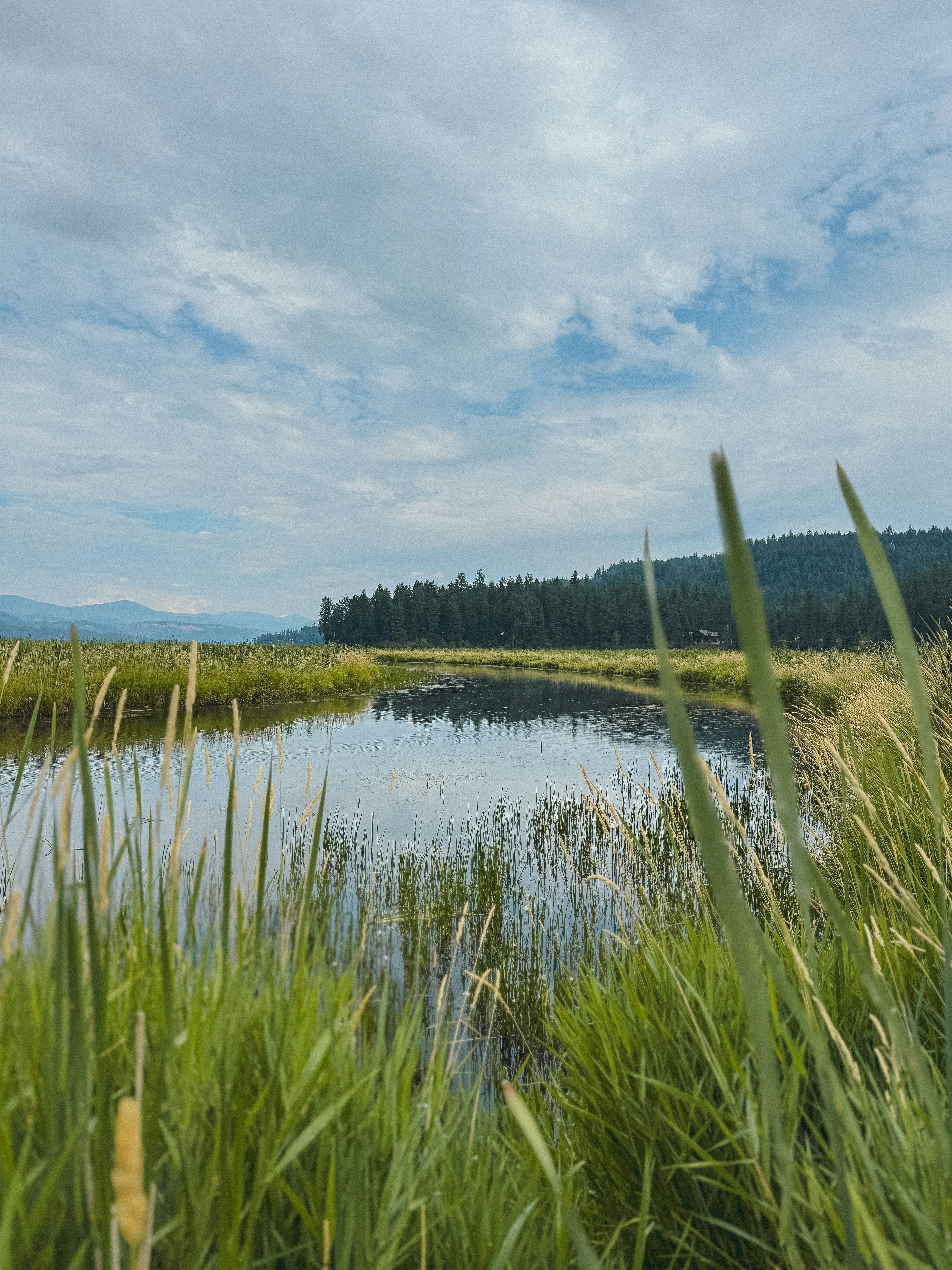 Photo by kamerondesign