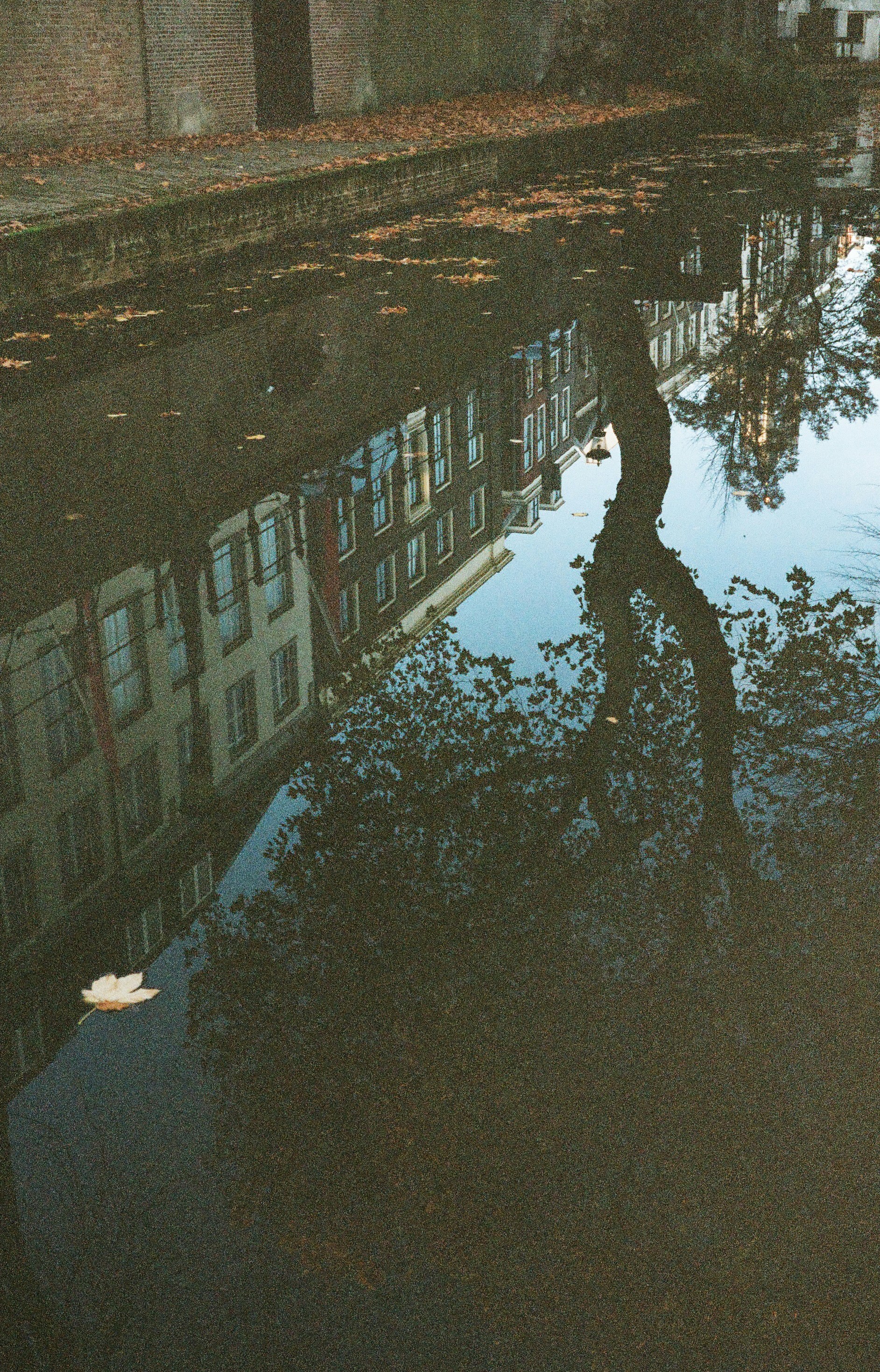 Reflection of buildings and trees in a canal