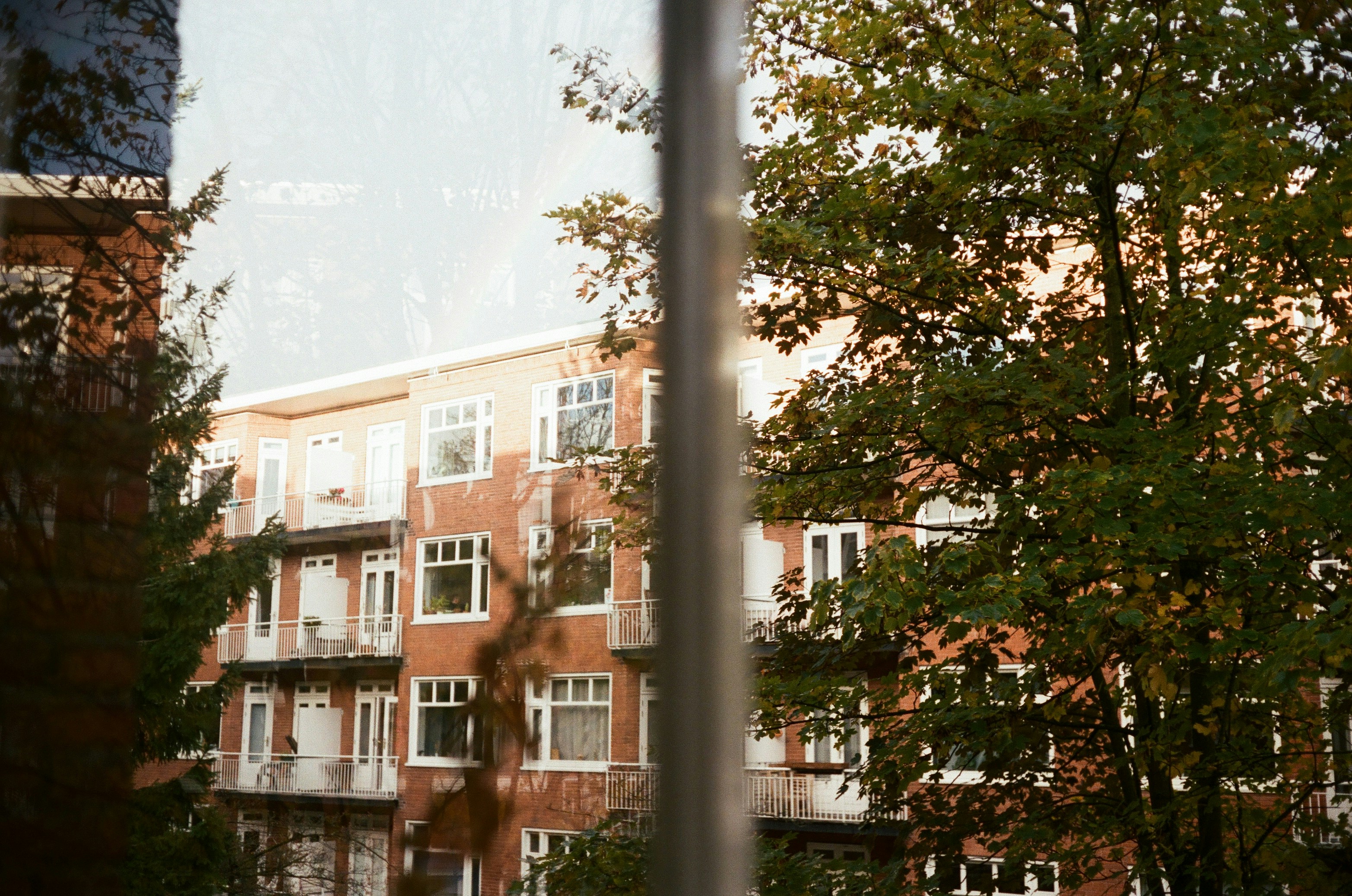 Wohnhaus durch Bäume und Fenster gesehen.