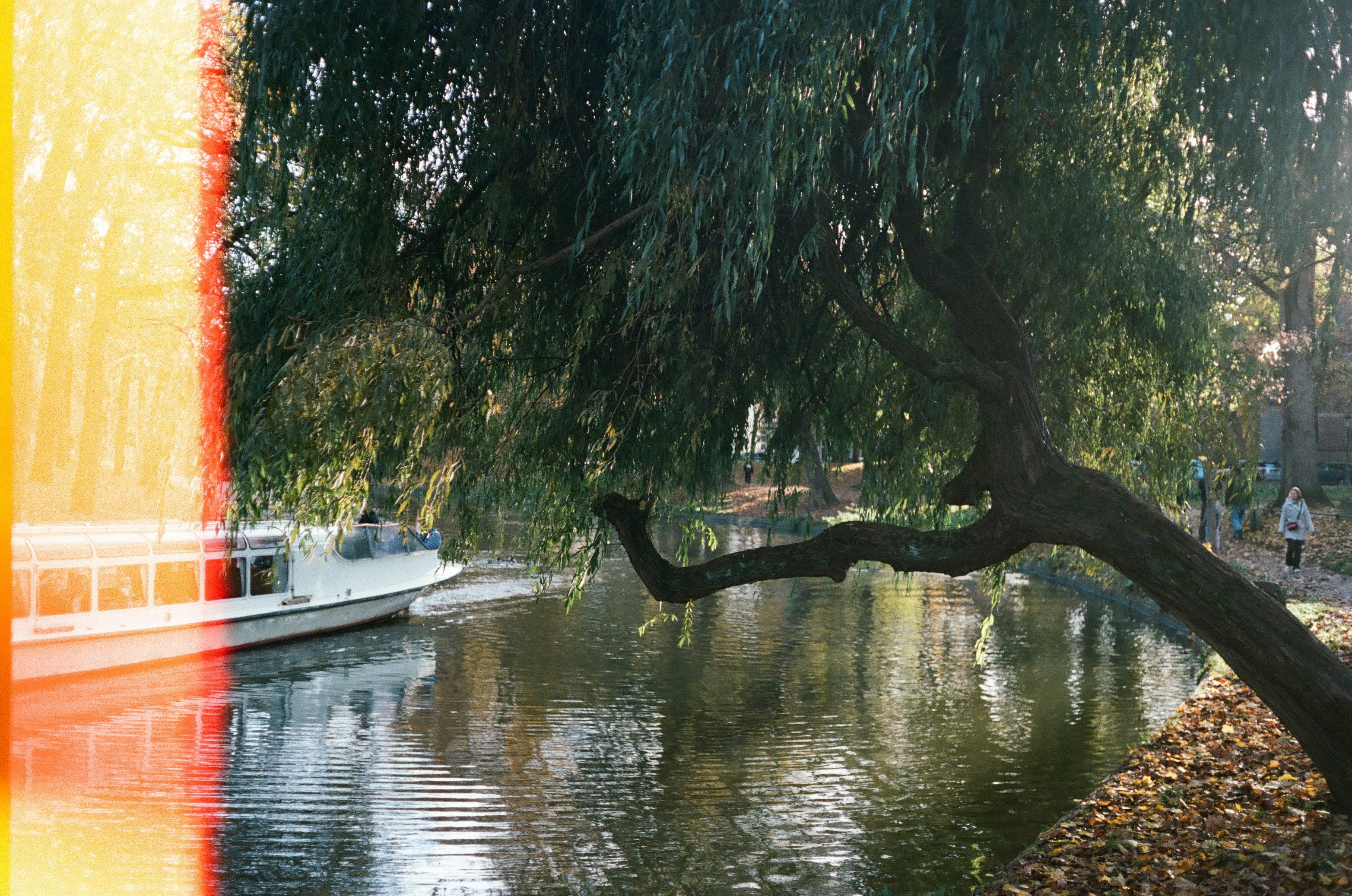 Boot auf einem Kanal unter einer Tränenweide.
